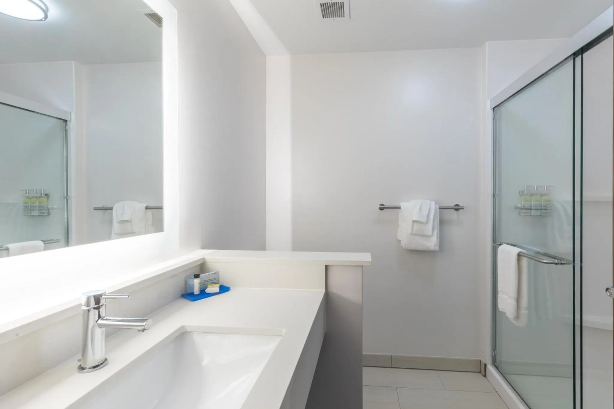 Bathroom in Holiday Inn Express & Suites Columbia Downtown The Vista by IHG