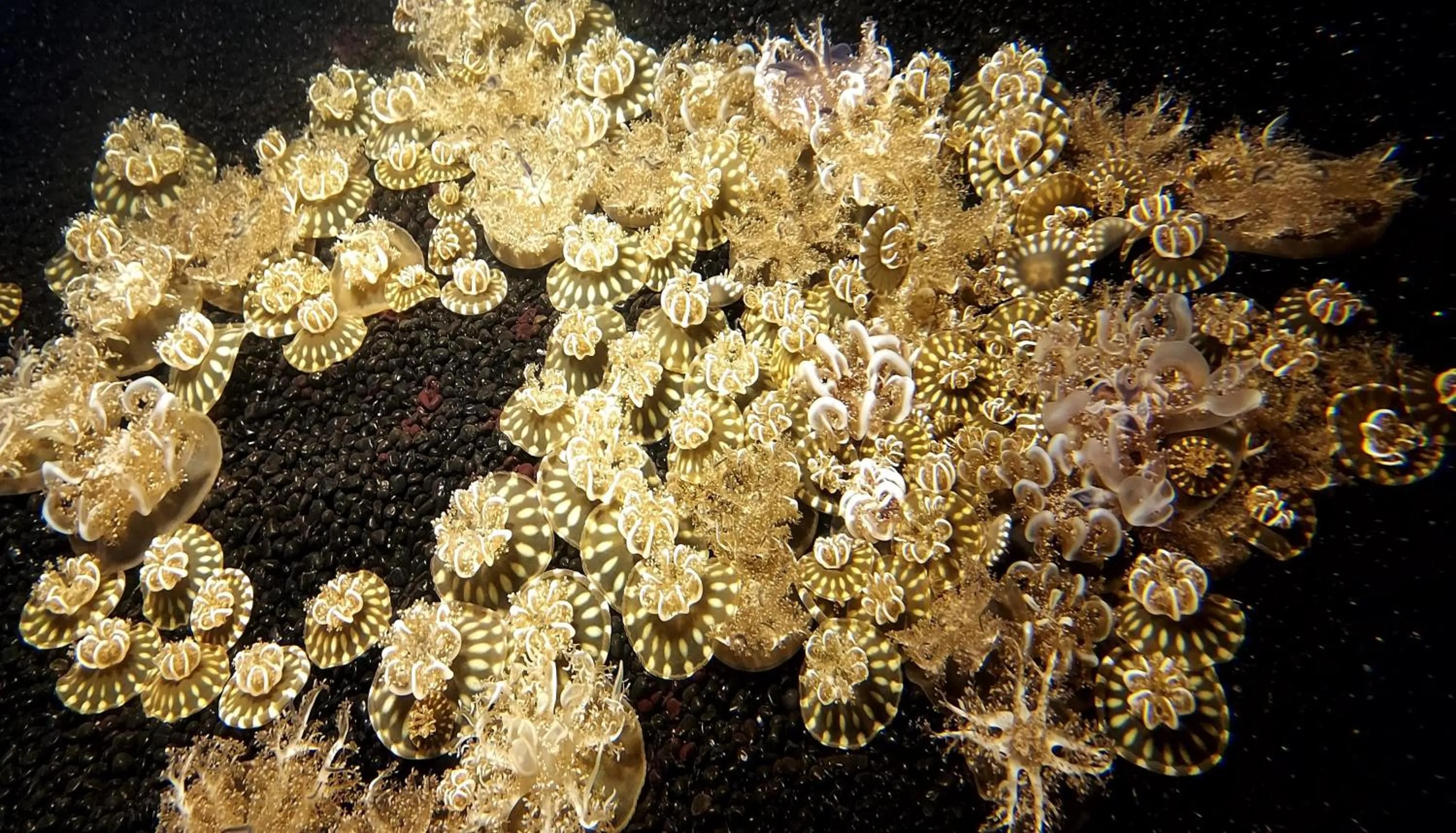 Nearby landmark in Hotel Indigo - Omaha Downtown by IHG