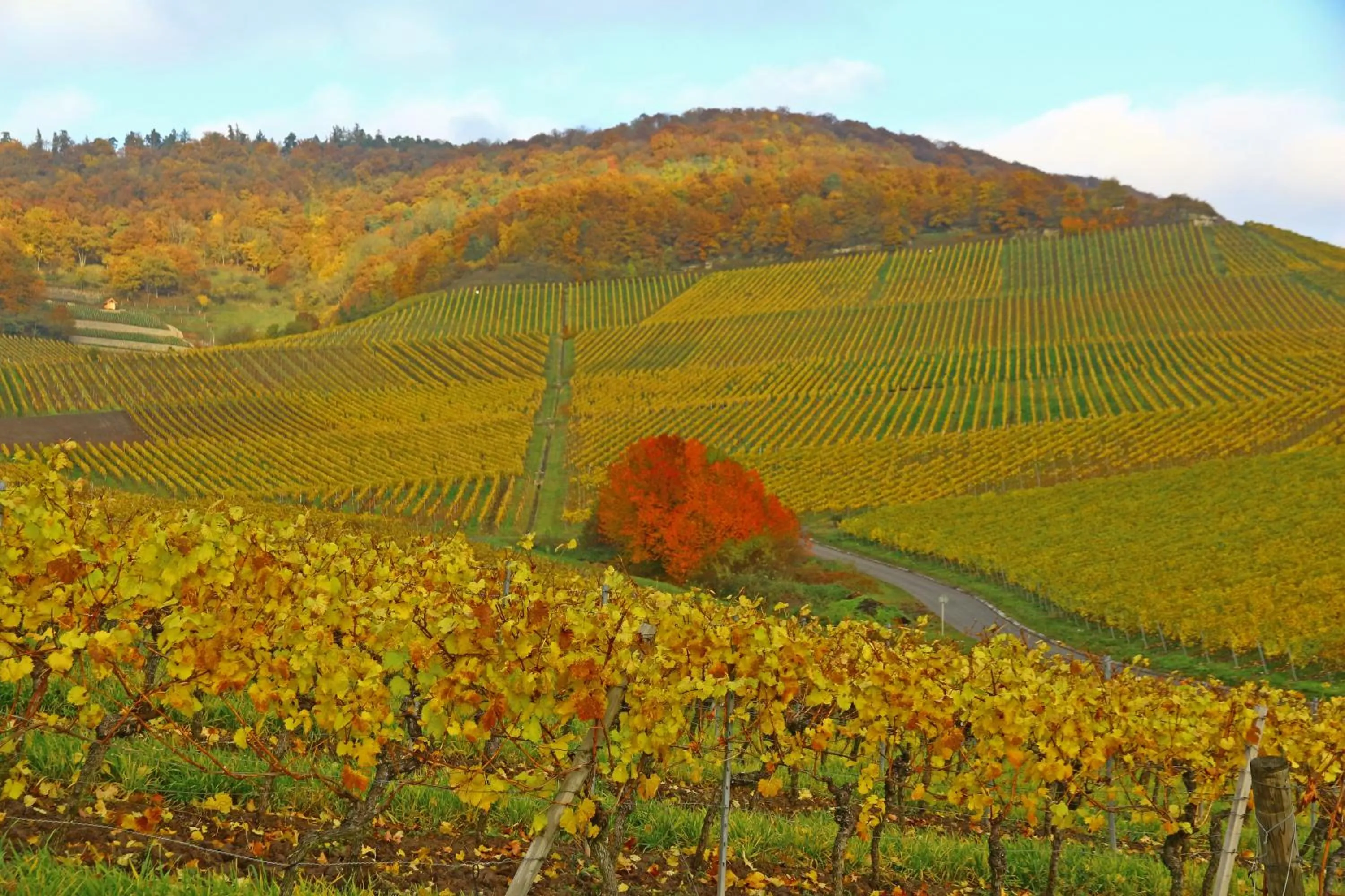 Off site in Flair-Hotel Zum Benediktiner