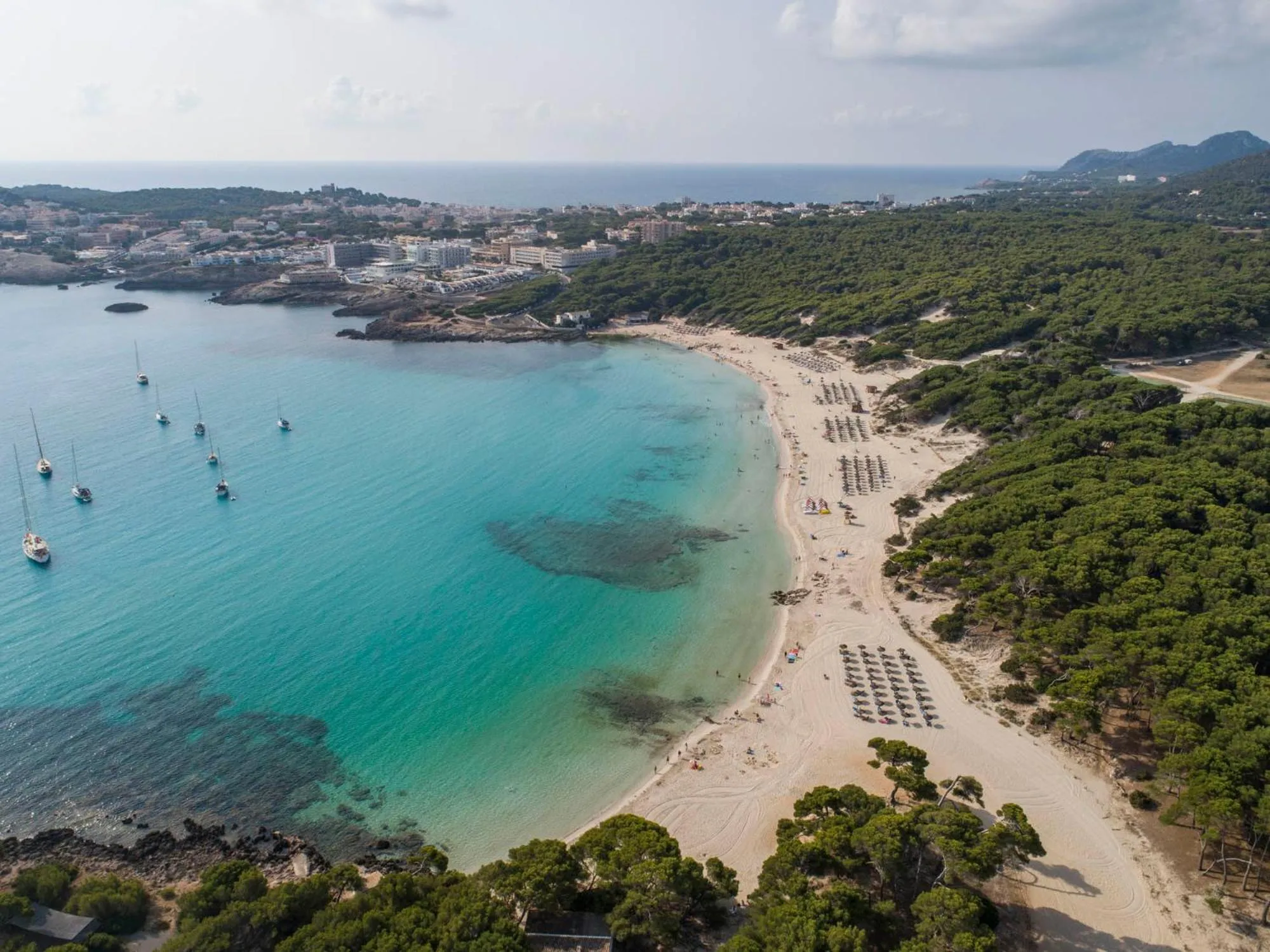 Beach in Apartamentos Quijote Park