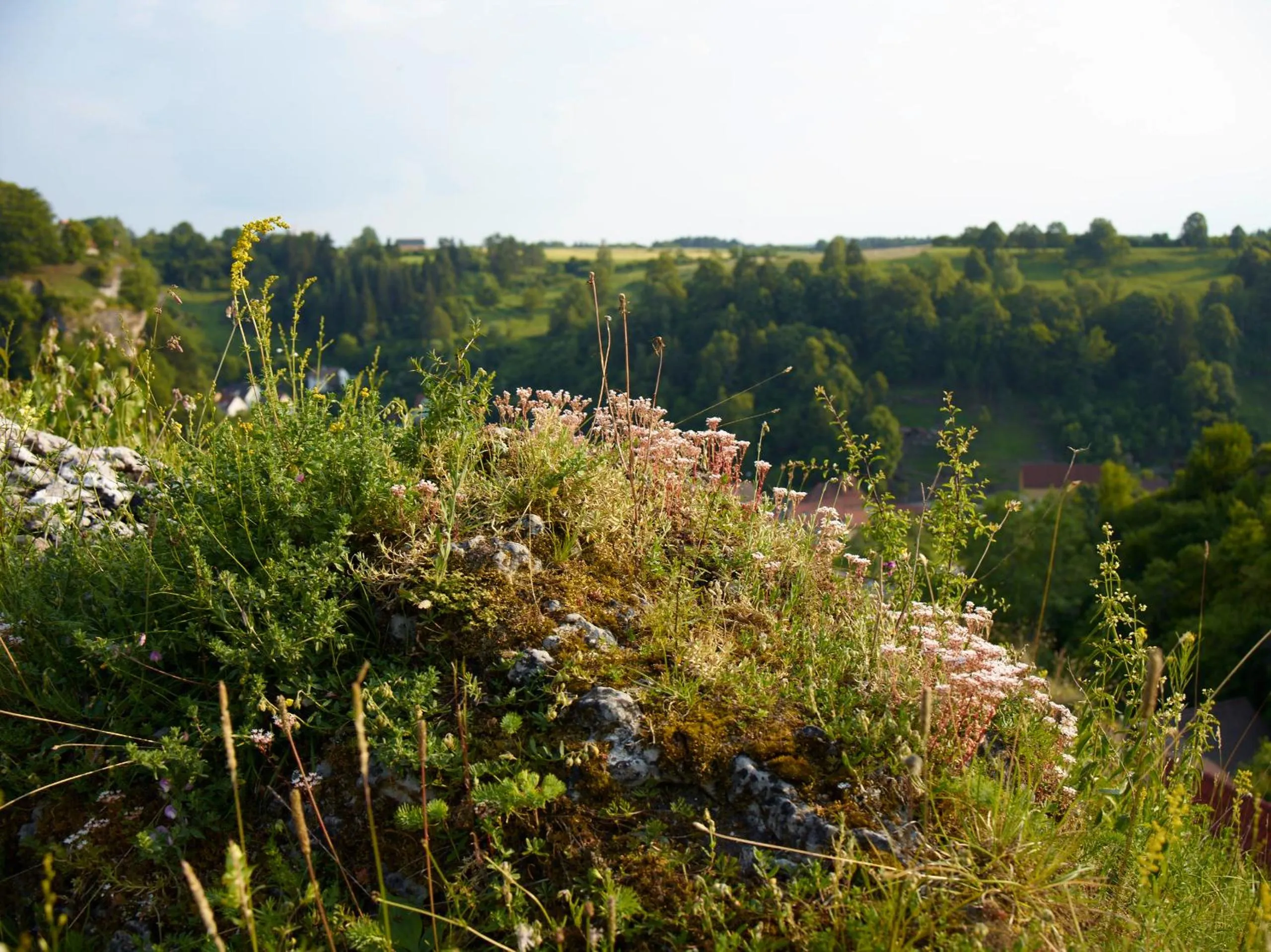 Area and facilities in Hotel Stempferhof
