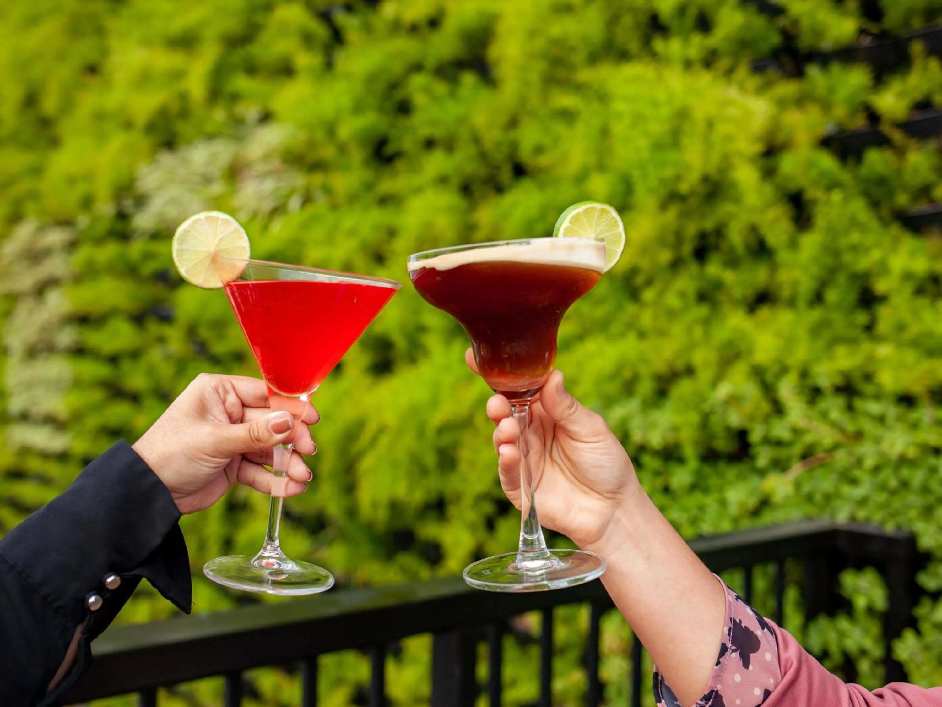 Lounge or bar in Novotel Criciuma