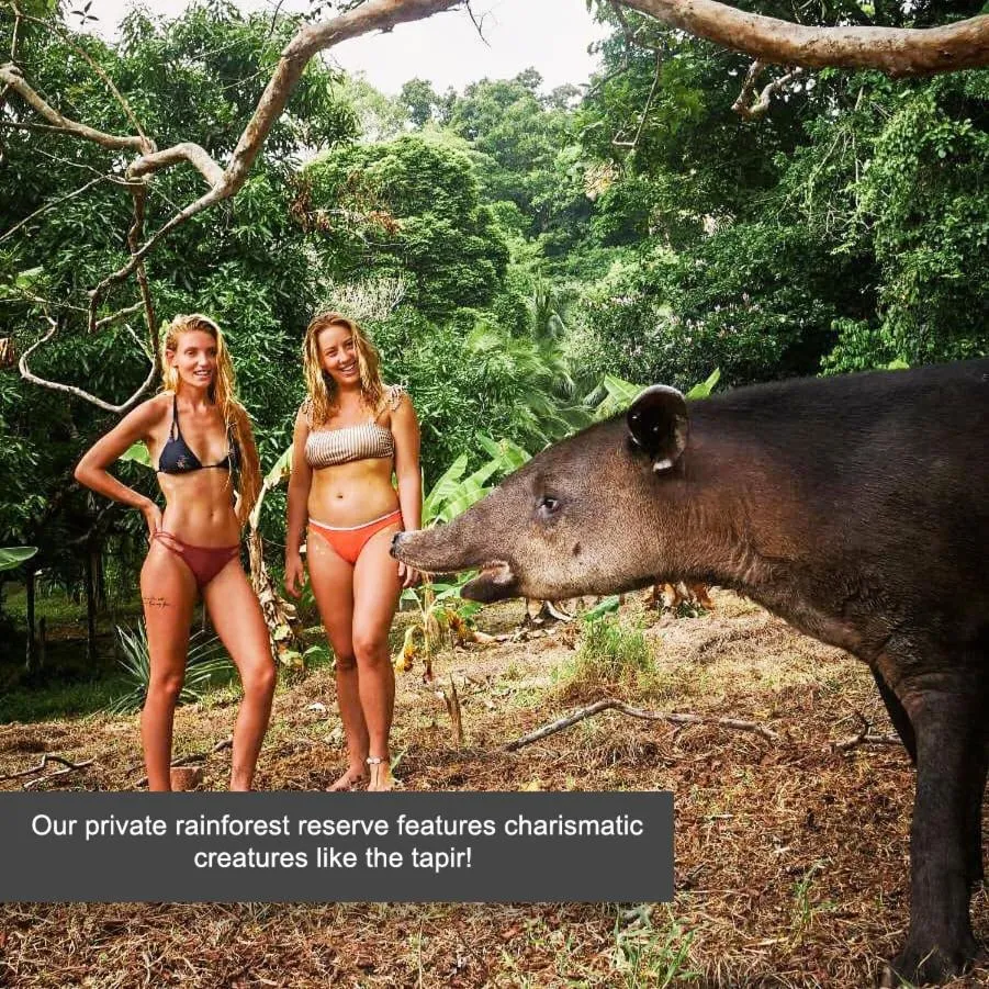 Natural landscape in The Jaguars Jungle Rainforest Lodge - All meals included