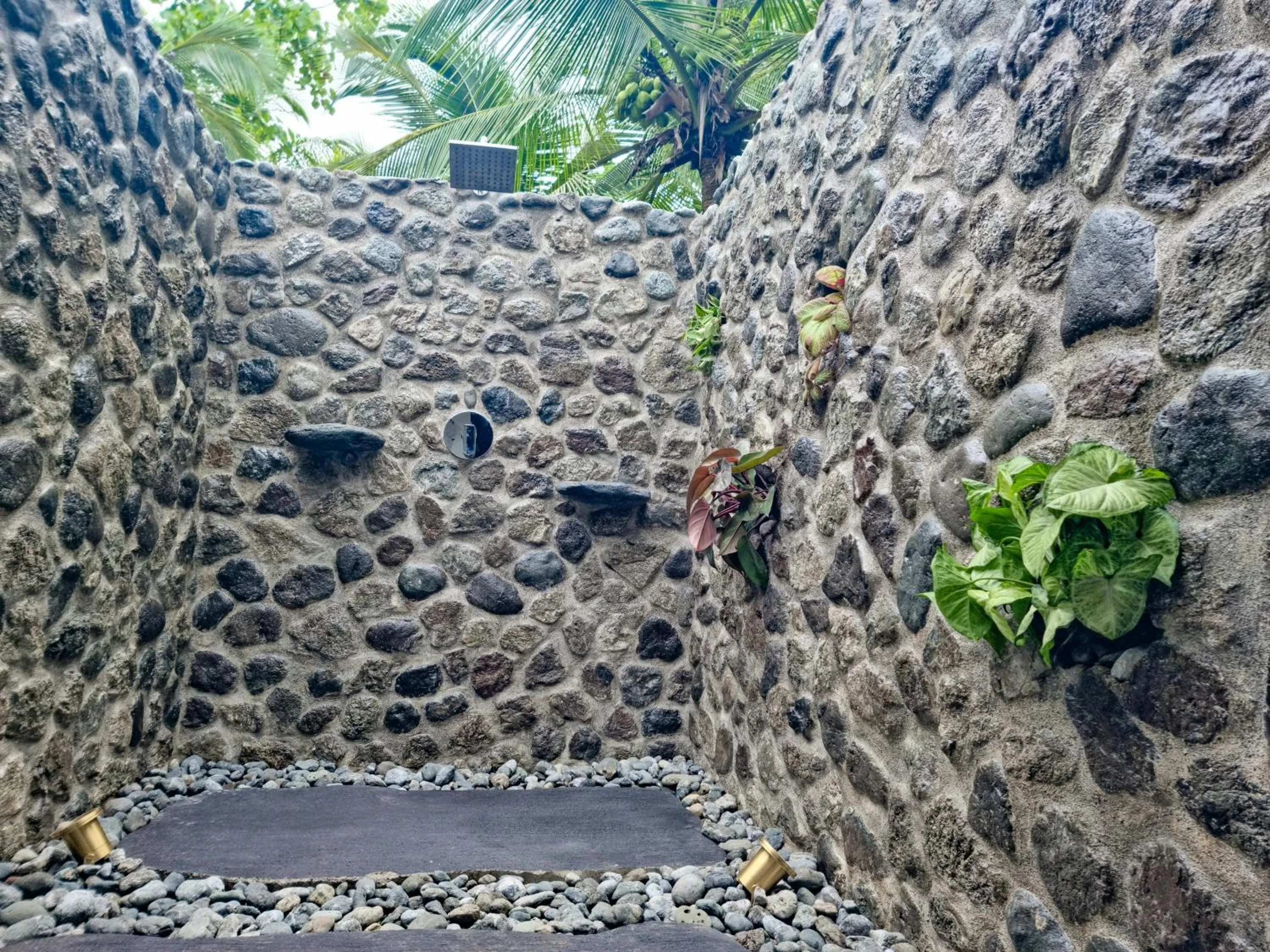 The Jaguars Jungle Rainforest Lodge - All meals included