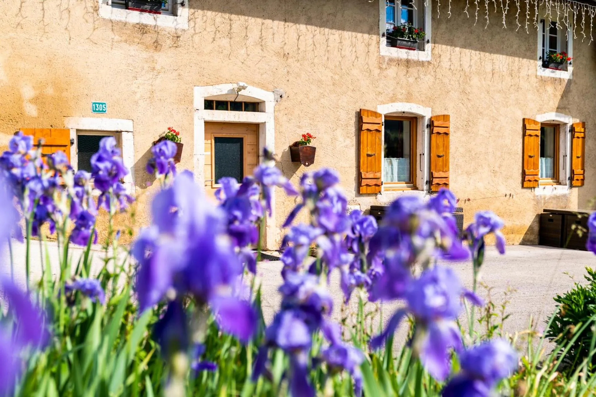 Property building in Golf du Rochat