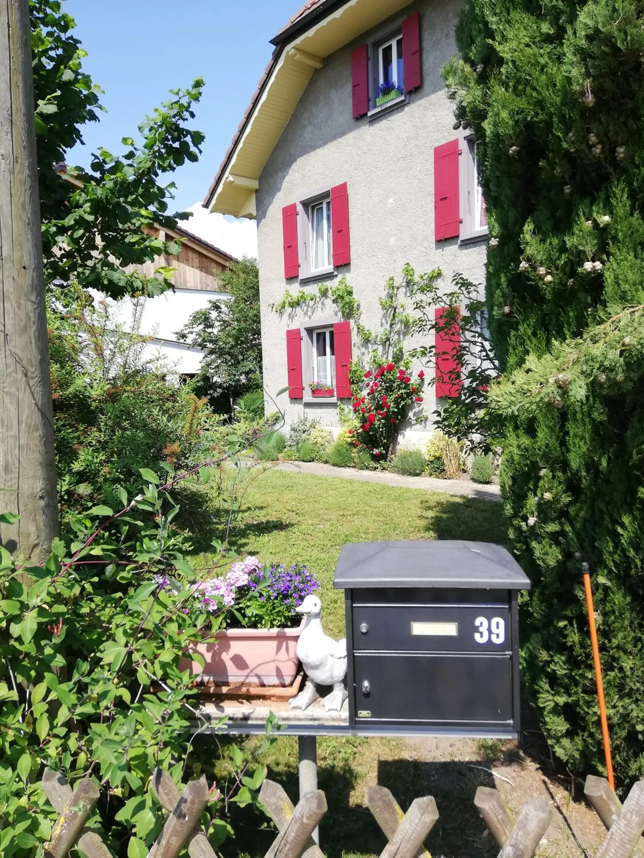 Lucky Duck Lucky Duck