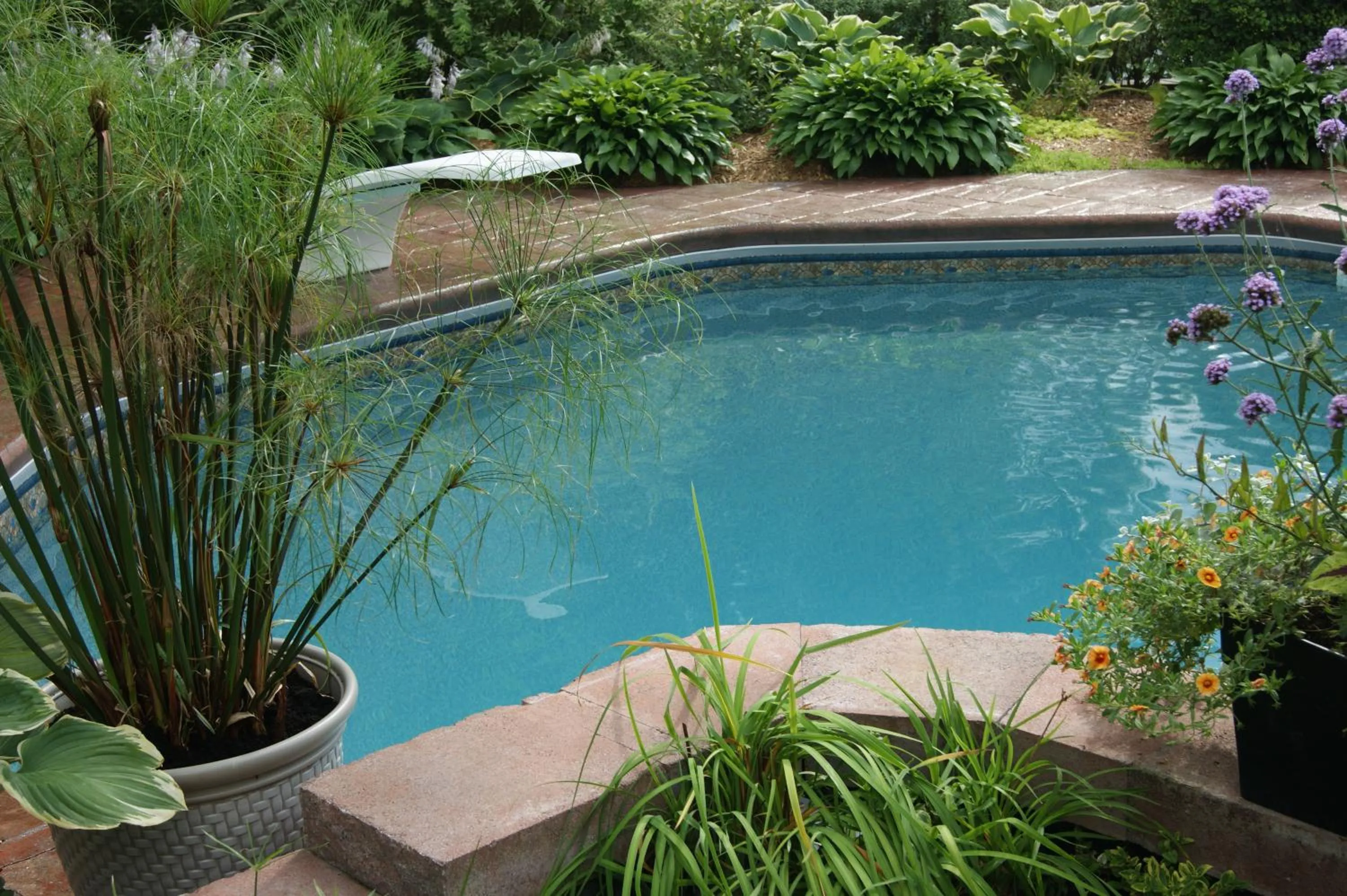 Swimming pool in La Belle aux Berges