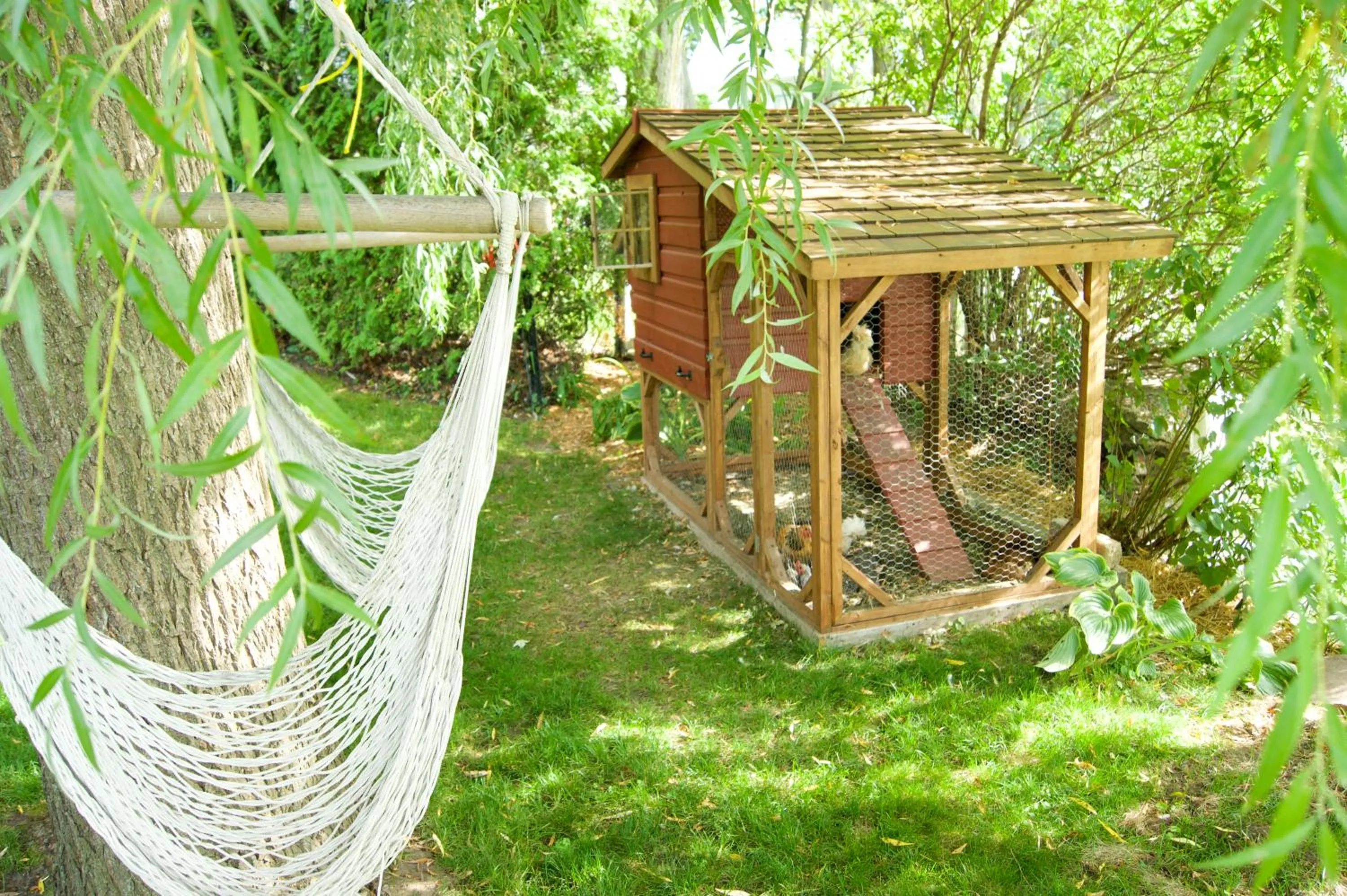 Animals in La Belle aux Berges