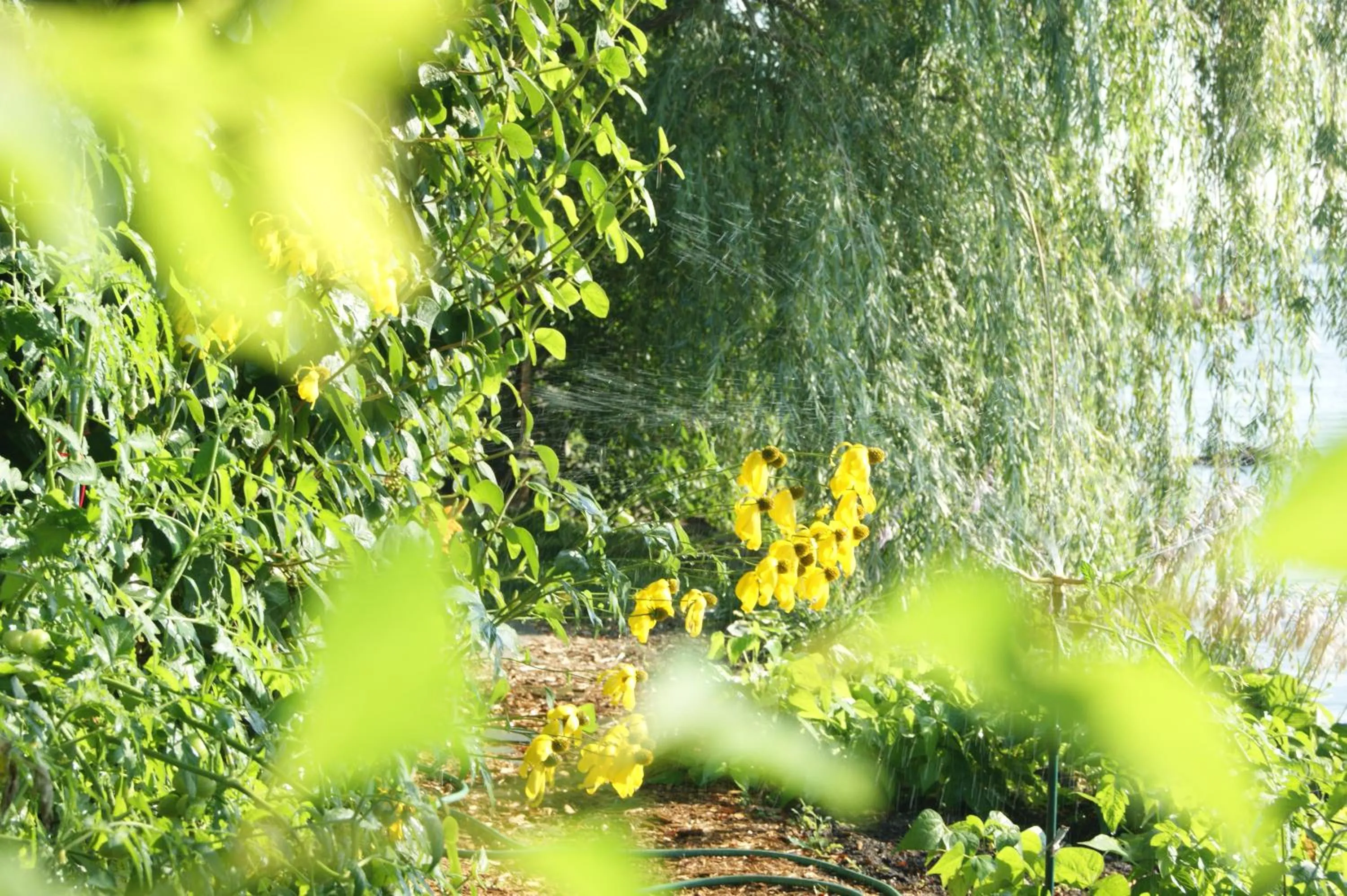 Garden in La Belle aux Berges