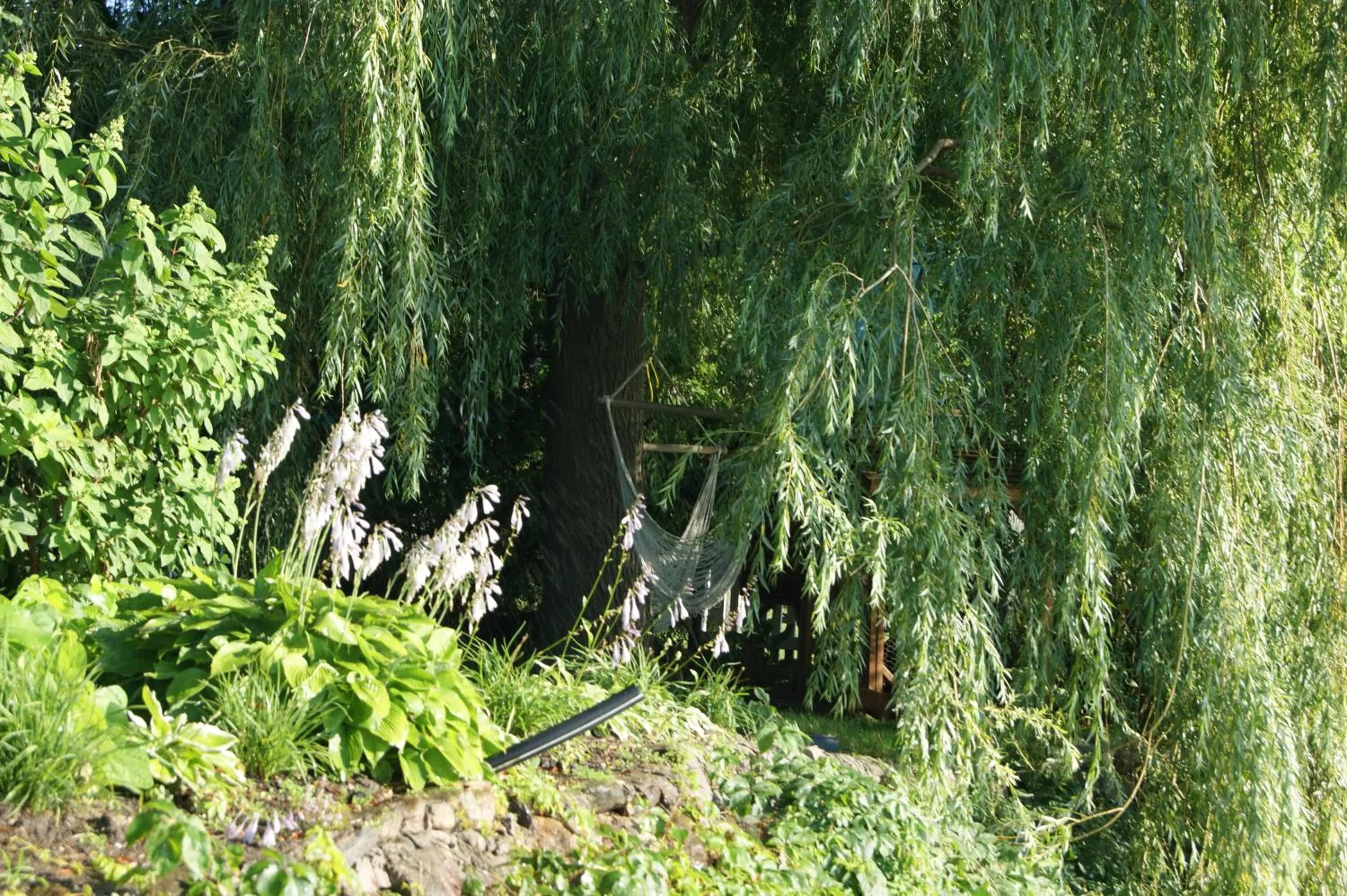 Garden view in La Belle aux Berges