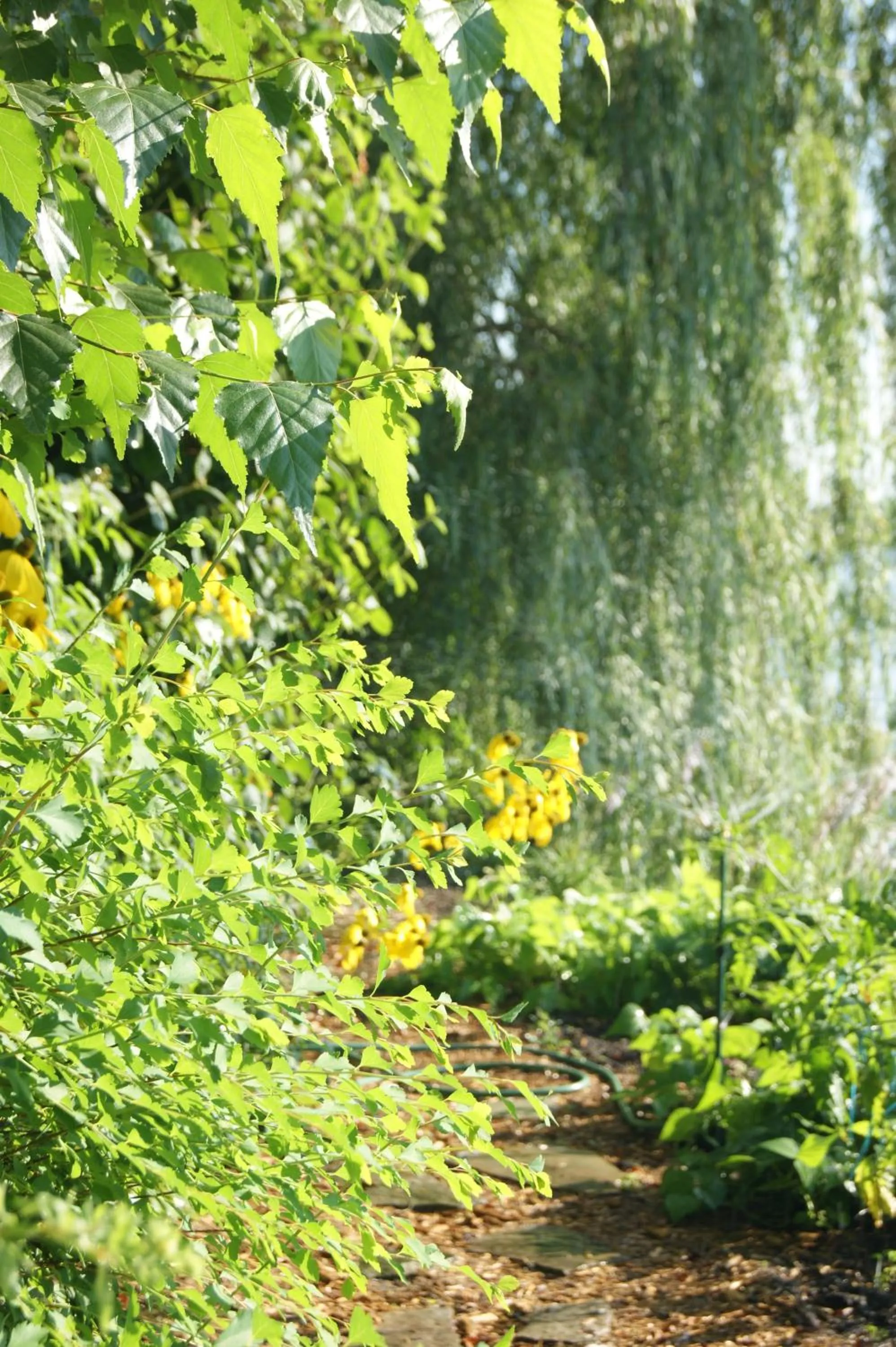 Garden in La Belle aux Berges