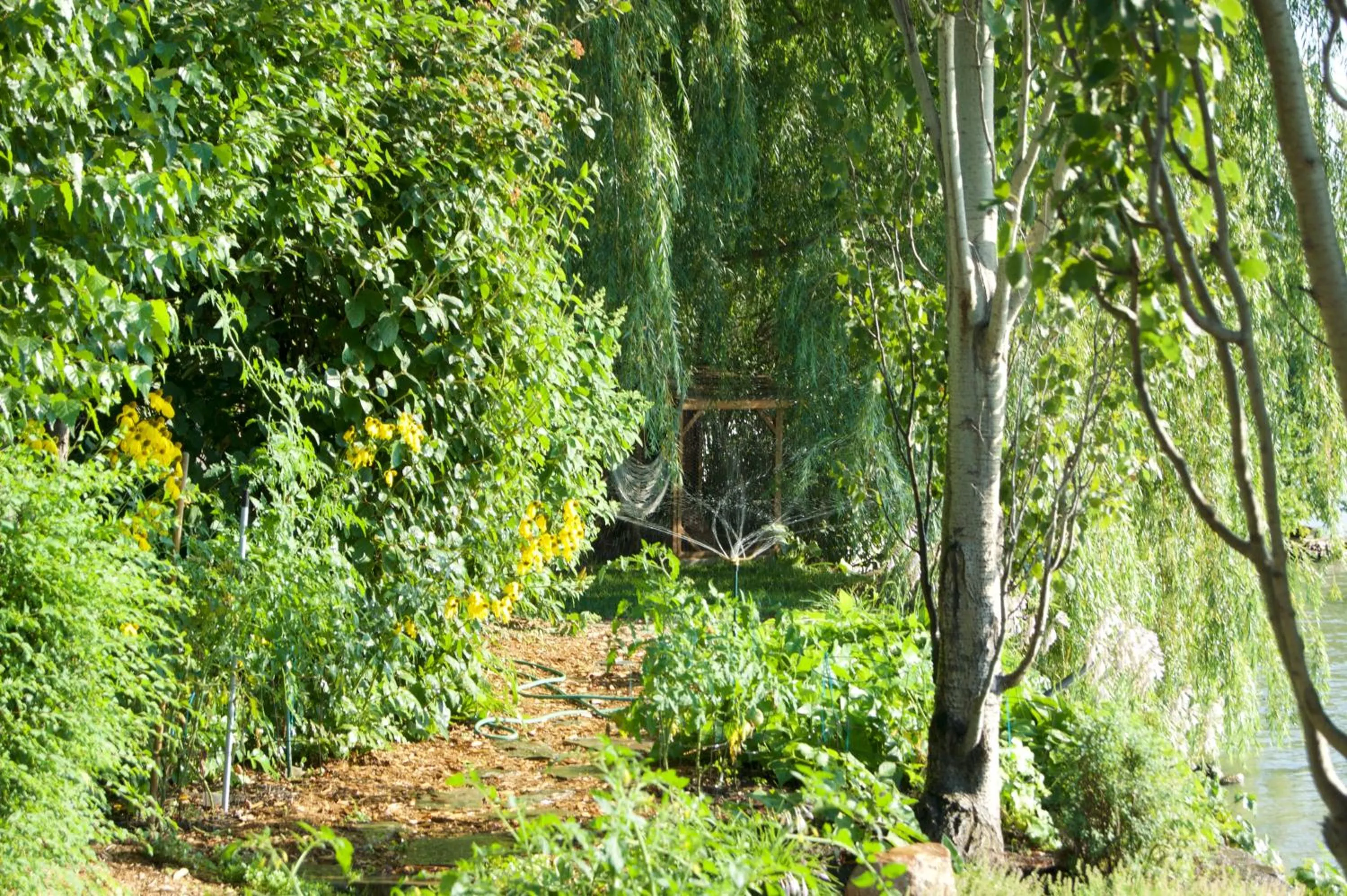 Garden in La Belle aux Berges