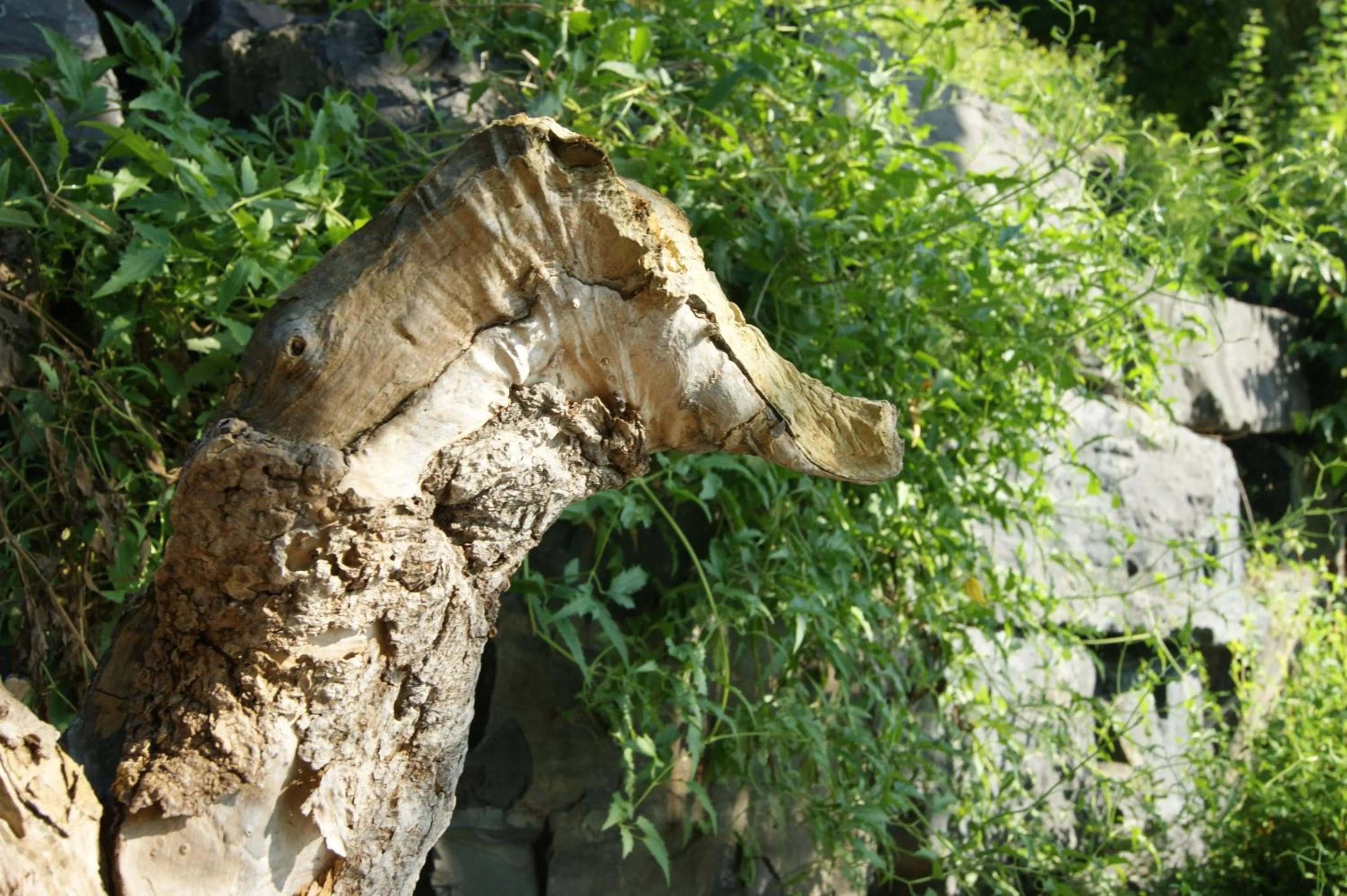 Decorative detail in La Belle aux Berges