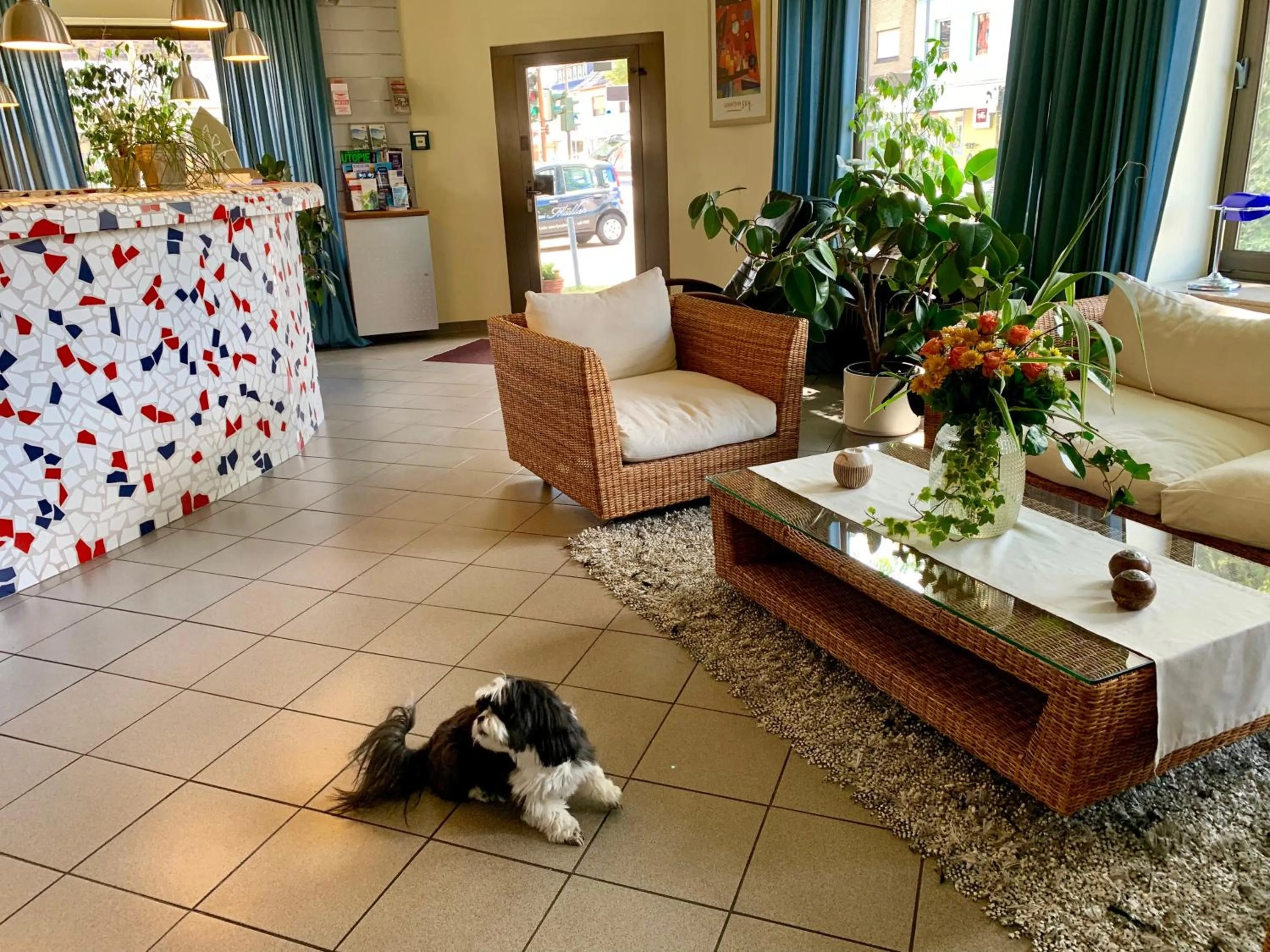 Pets in Art Hotel Köln