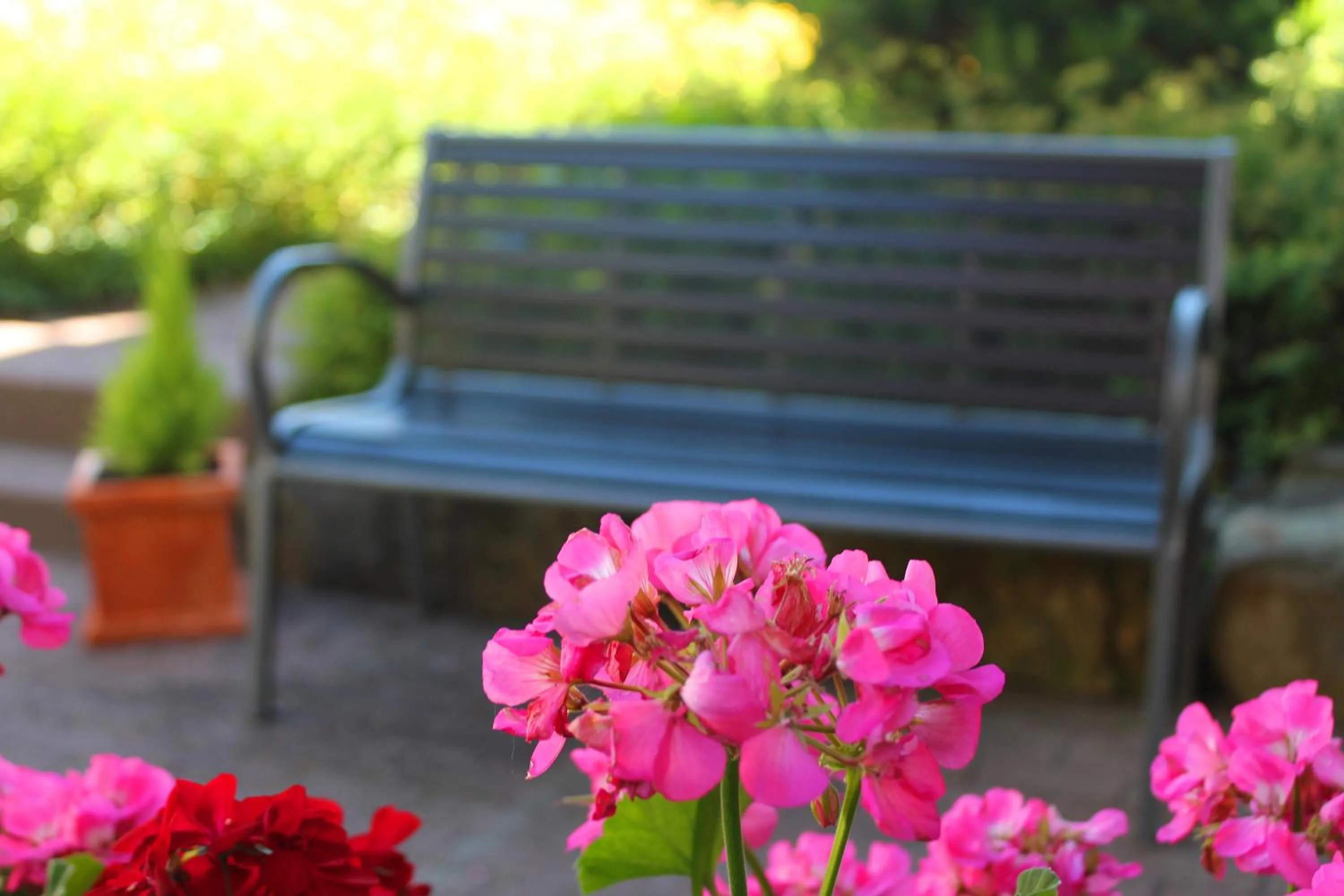 Garden in Hotel Flora Möhringen