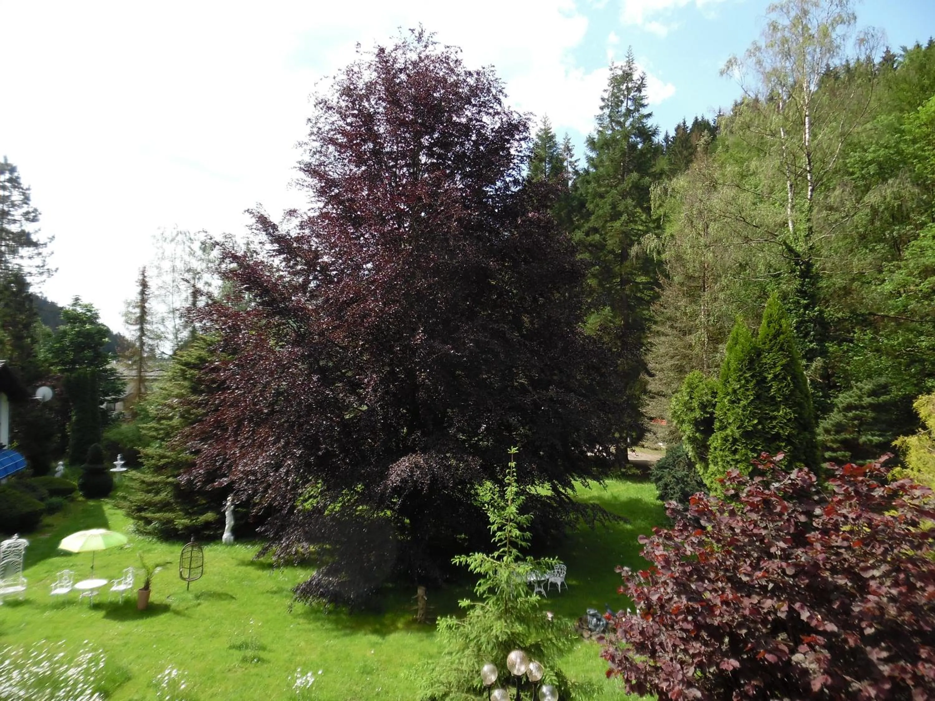 Natural landscape in Wellness und Romantik Hotel Helmboldt