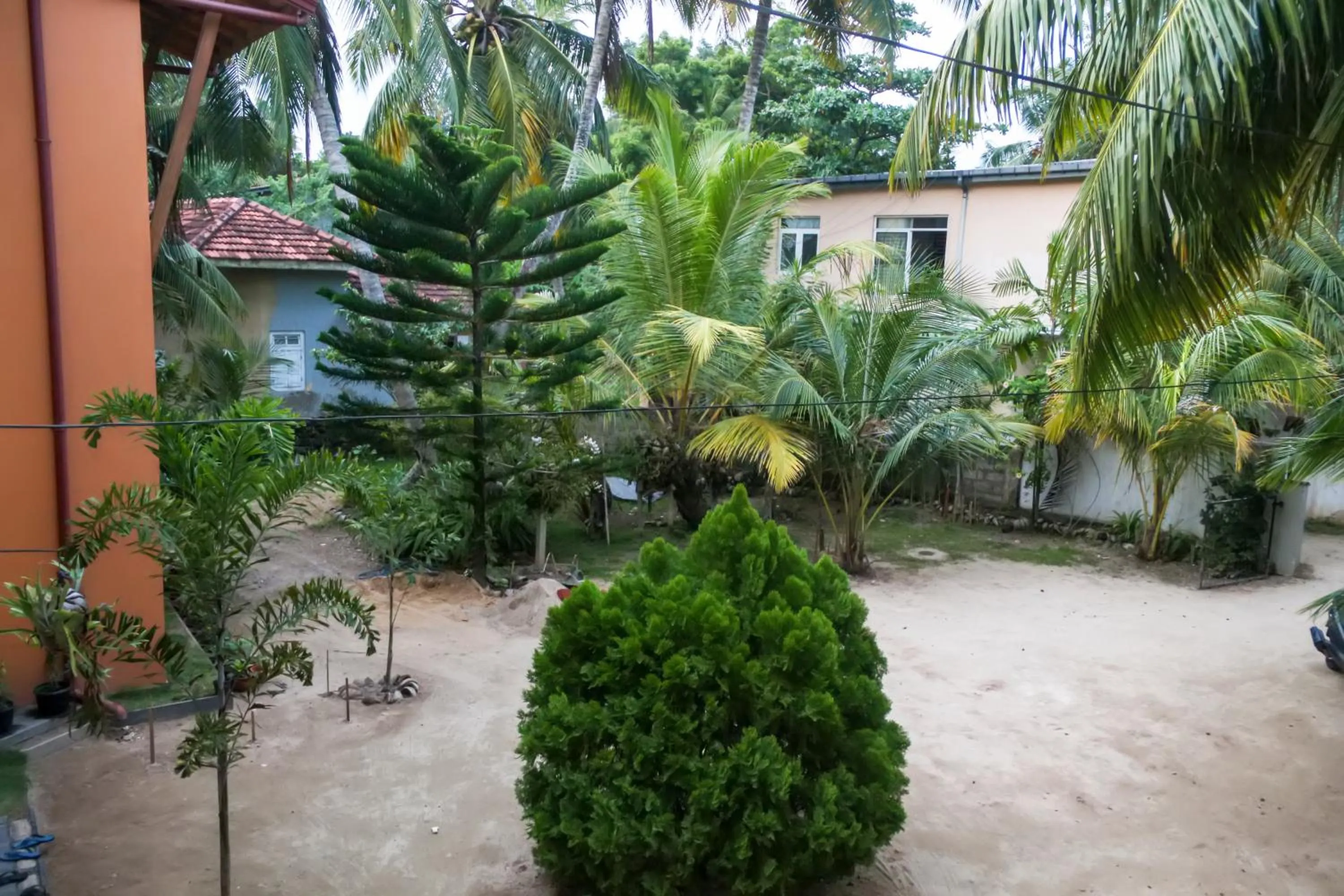 Garden in Sky Garden Mini Hotel