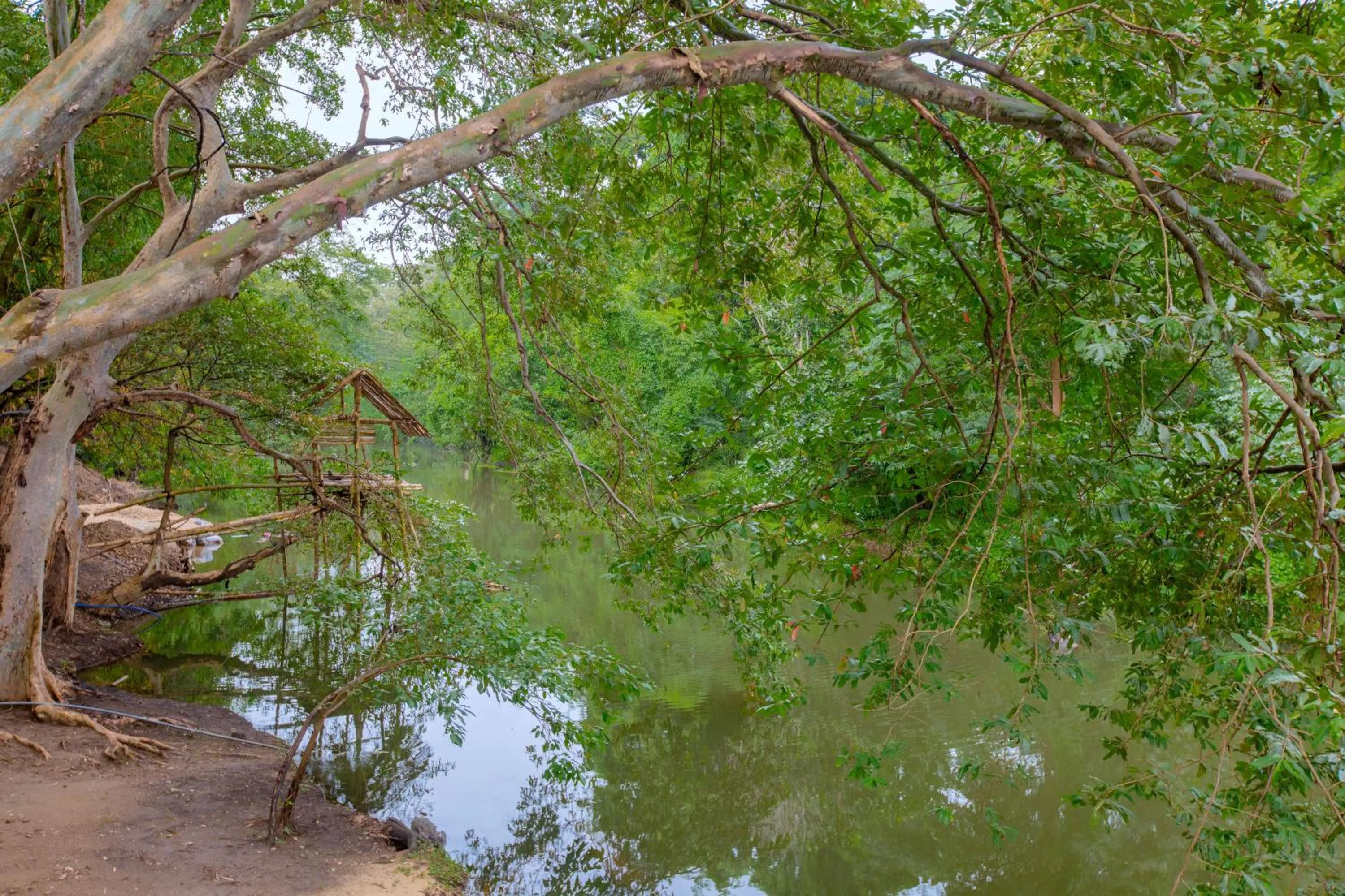 Natural landscape in Yala River Face Inn
