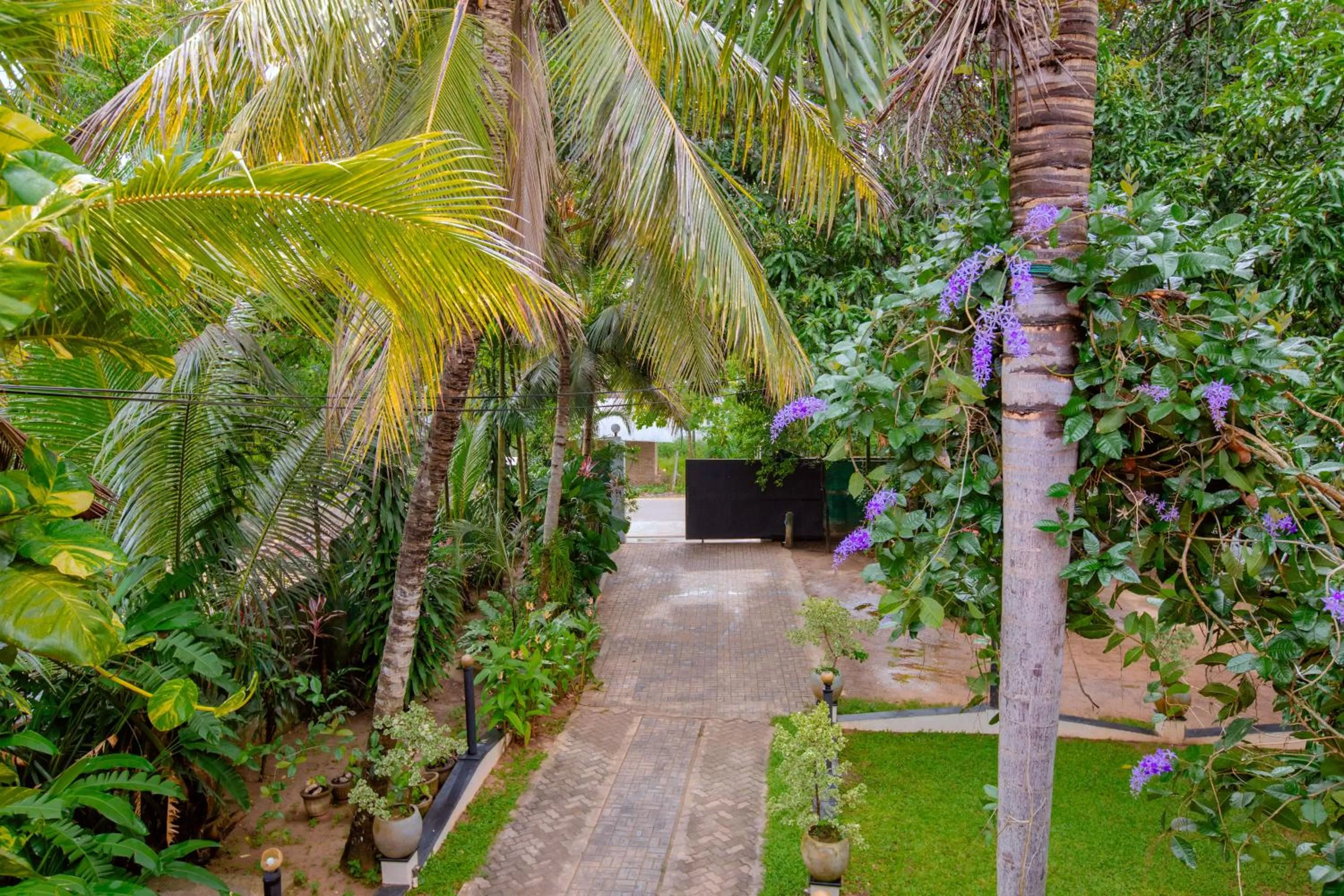 Facade/entrance in Yala River Face Inn