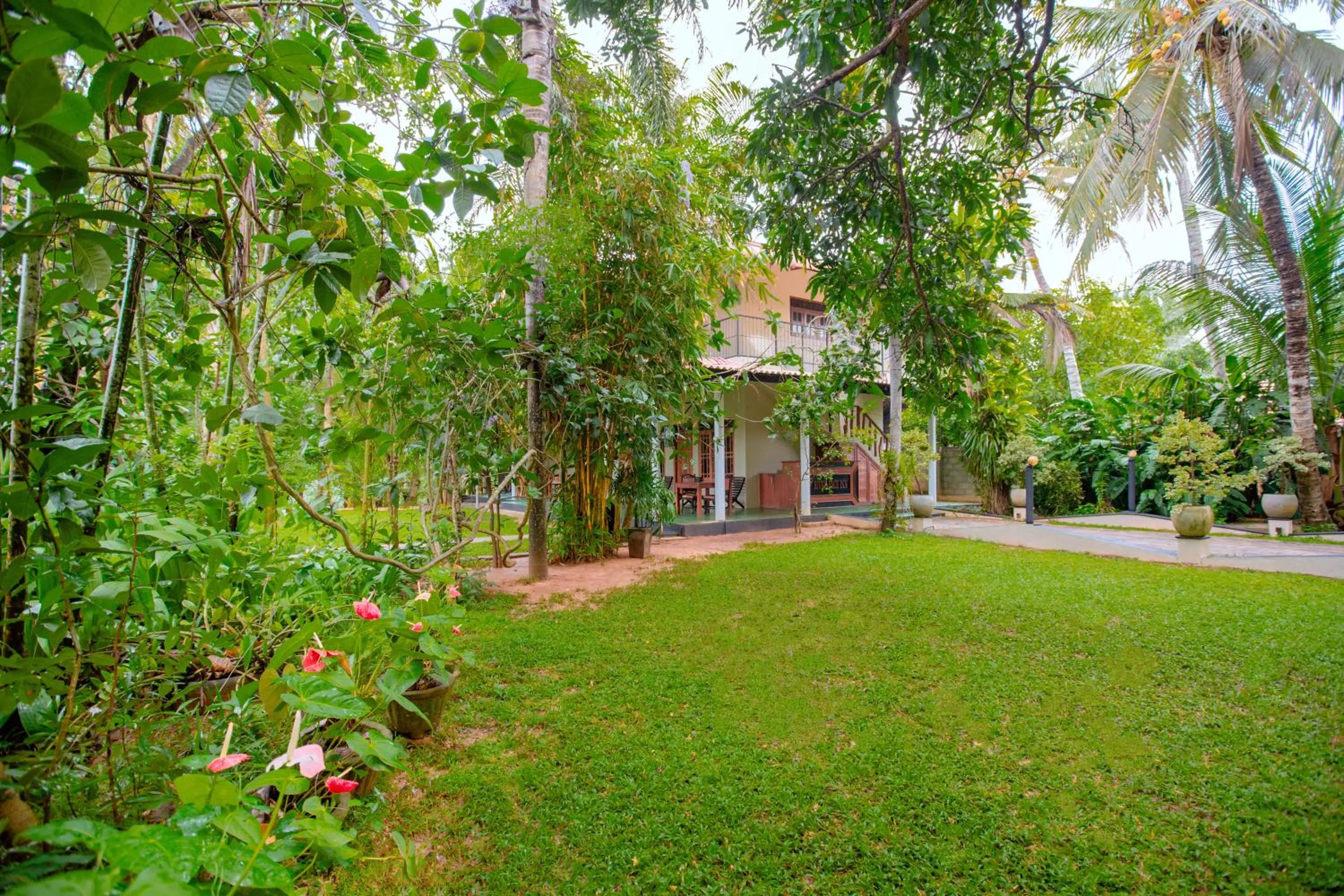 Garden view in Yala River Face Inn