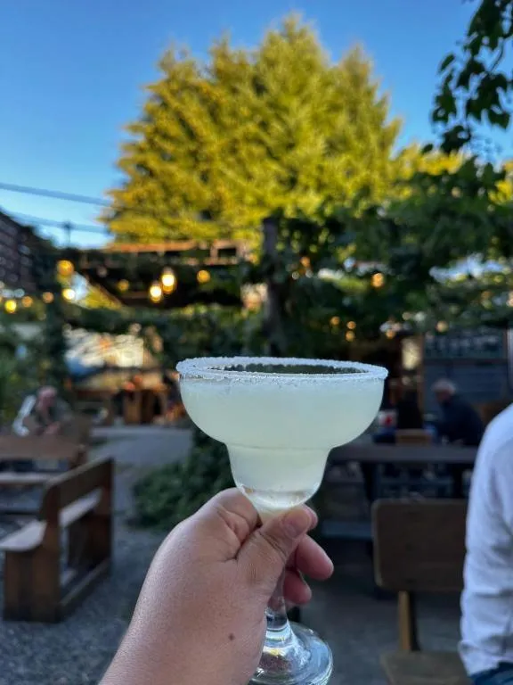 Lounge or bar in Hotel Boutique WenuPillan