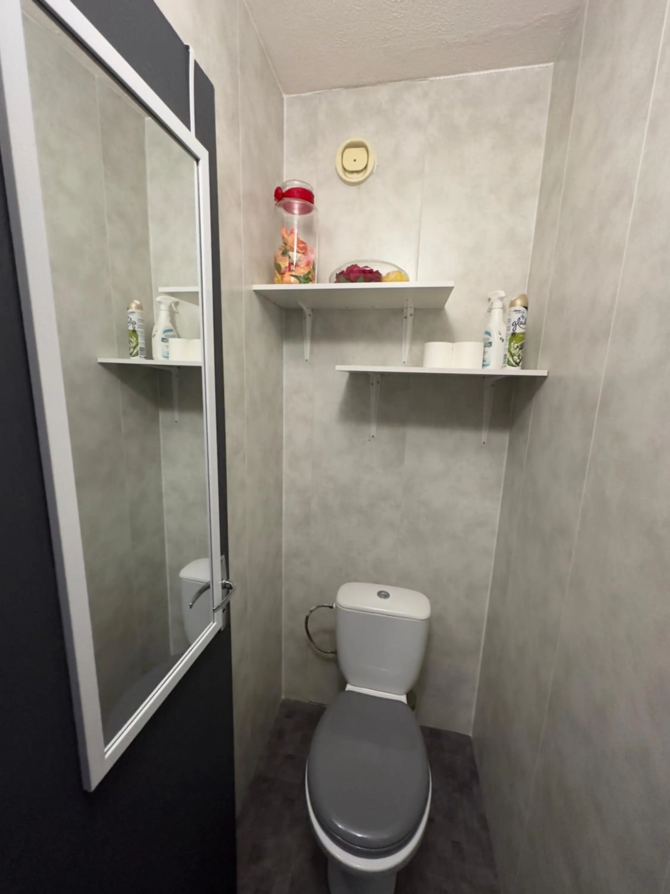 Toilet in Les Meublés les Dômes du Parc