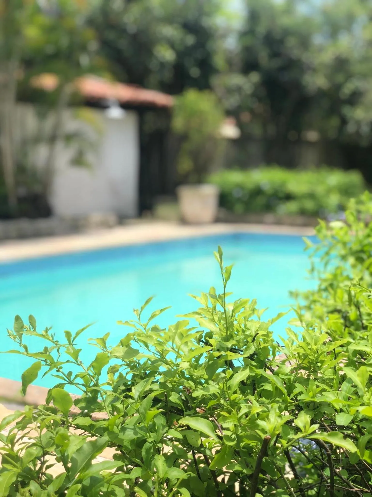 Swimming pool in Peixe Crew Manguinhos