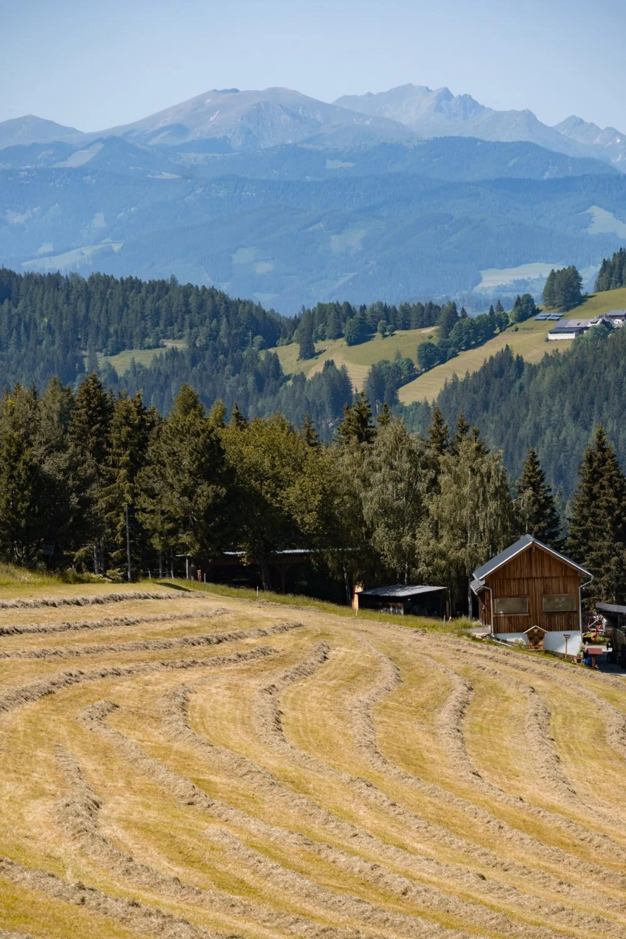 Staff in Seetalblick
