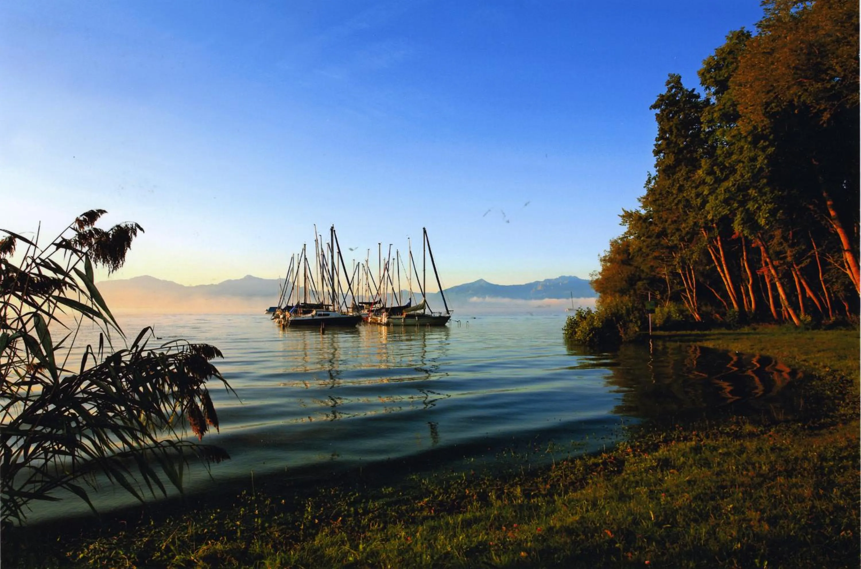 Natural landscape in Berghotel & Chalets Adersberg Chiemgau Card kostenfrei