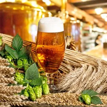 Food and drinks in Berghotel & Chalets Adersberg Chiemgau Card kostenfrei