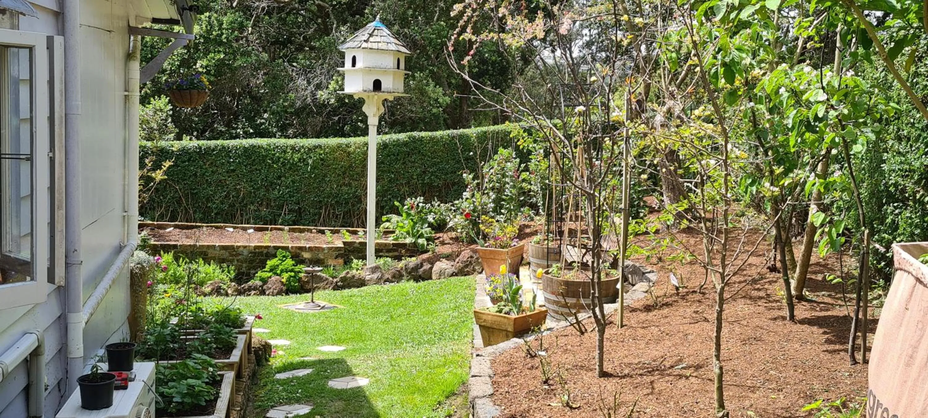 Garden in Dovecote House