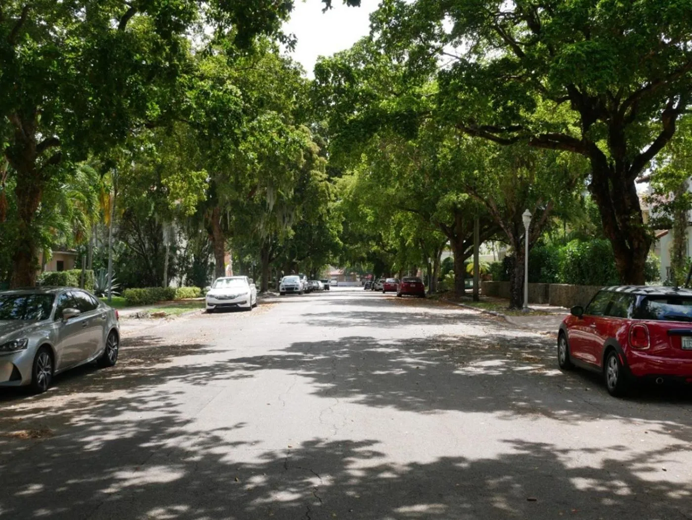 Neighbourhood in Casa Coral