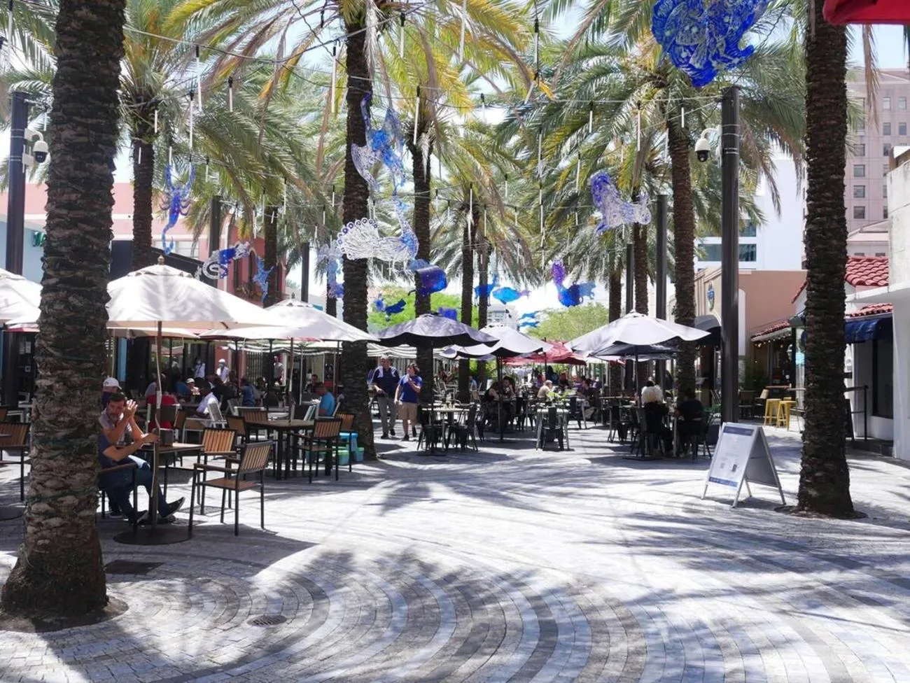 Neighbourhood in Casa Coral