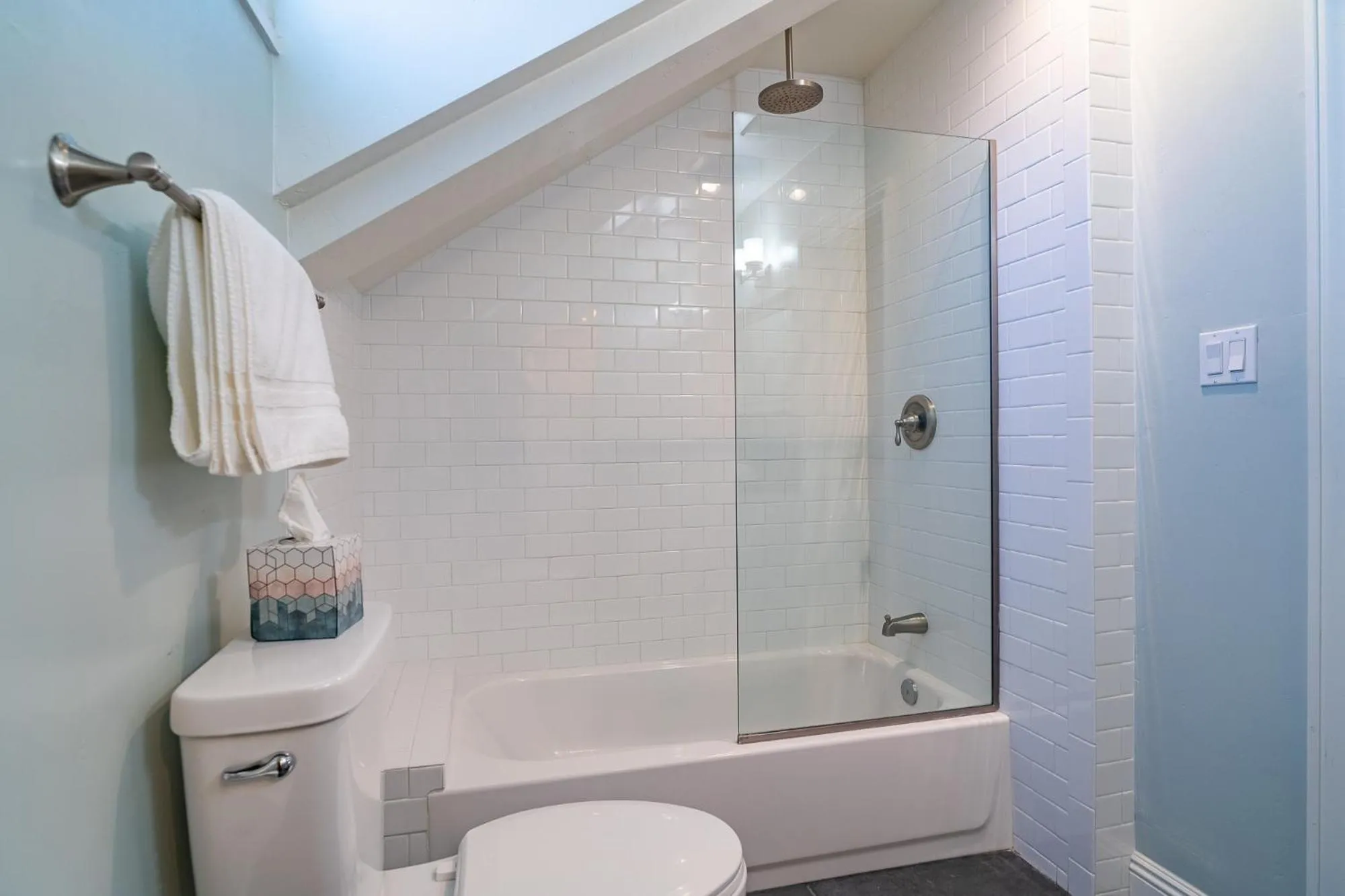 Shower in Fern House South Park Craftsman