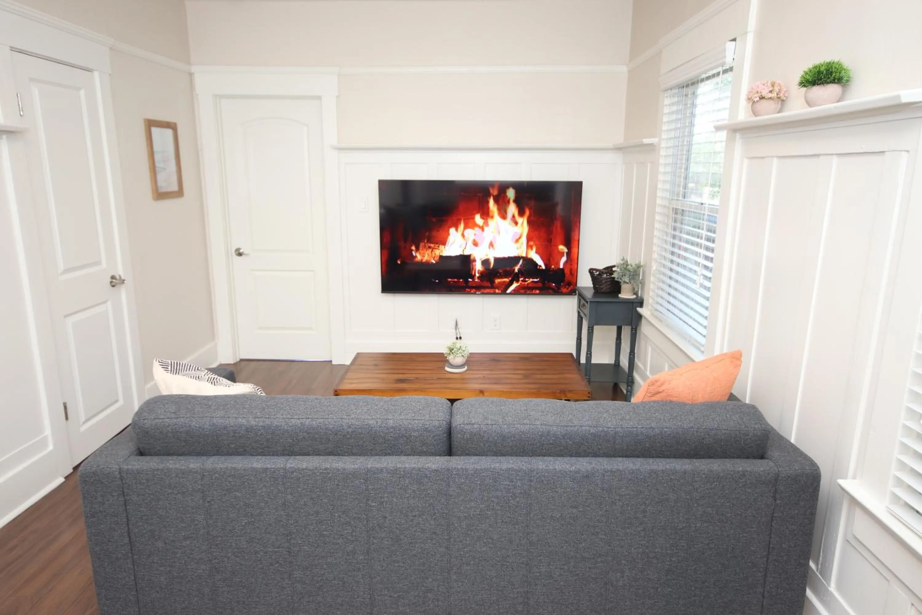 TV and multimedia in Fern House South Park Craftsman