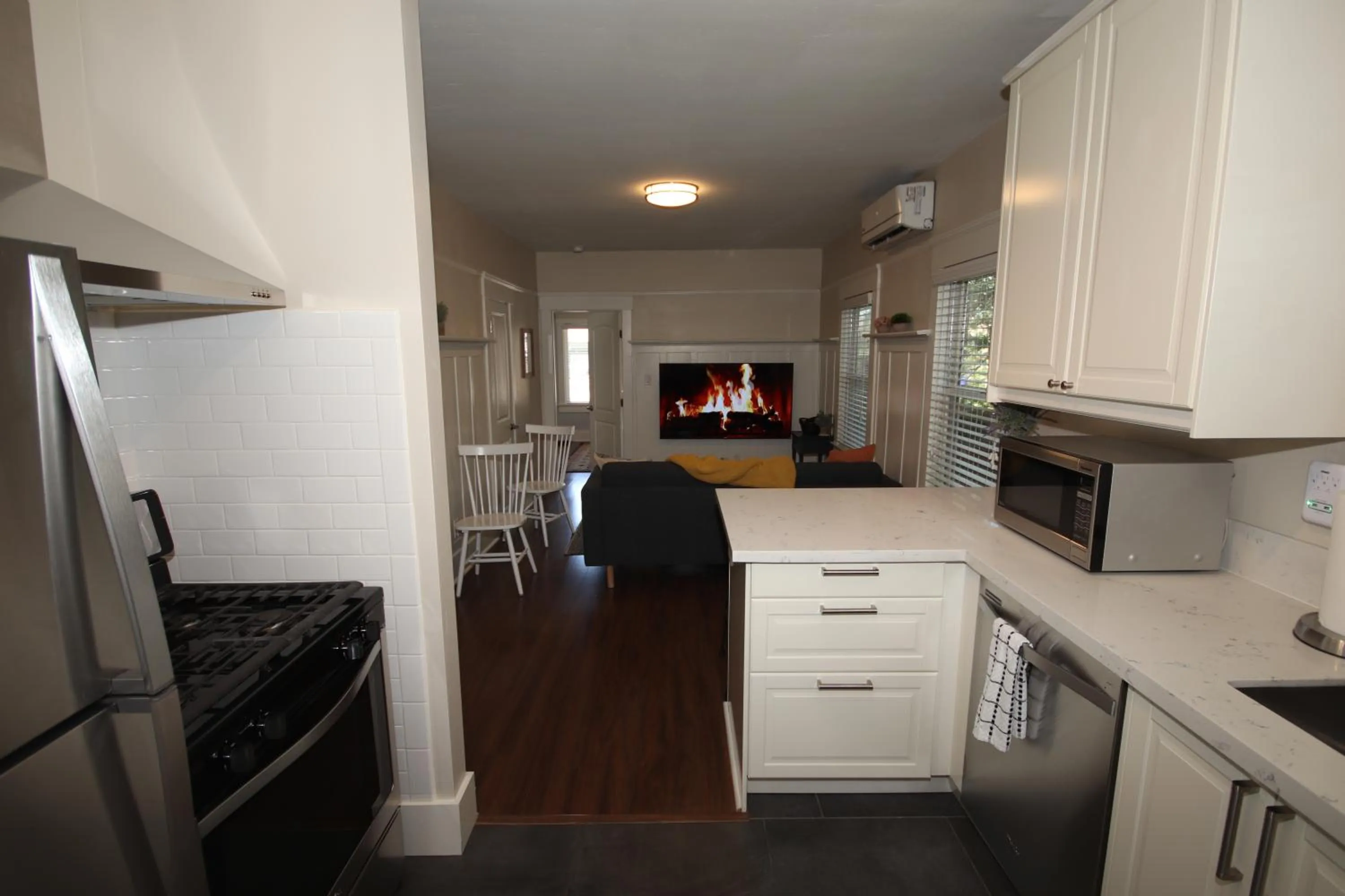 minibar in Fern House South Park Craftsman