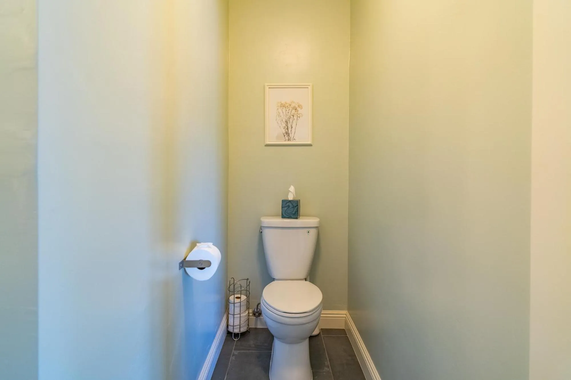 Toilet in Fern House South Park Craftsman