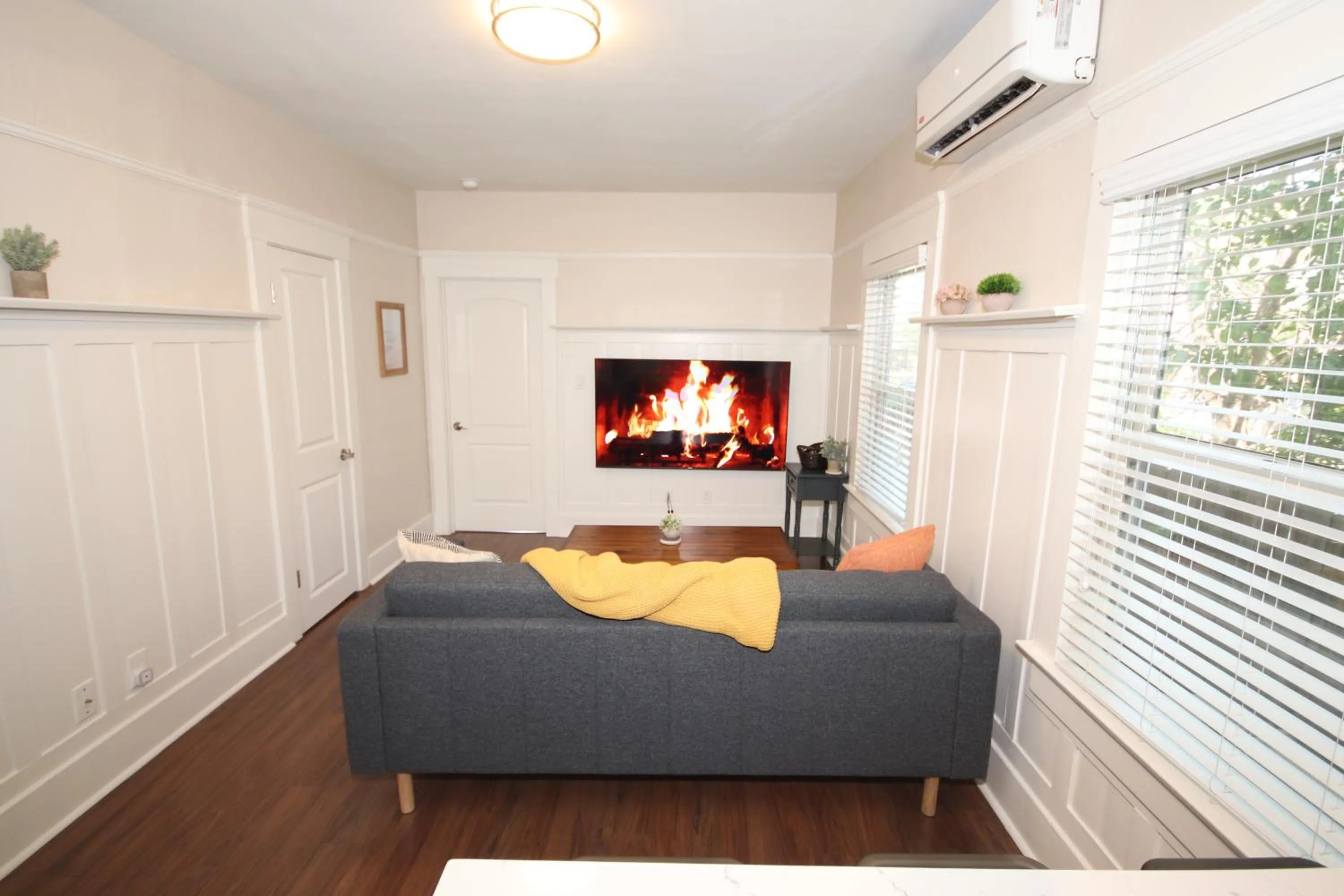 TV and multimedia in Fern House South Park Craftsman