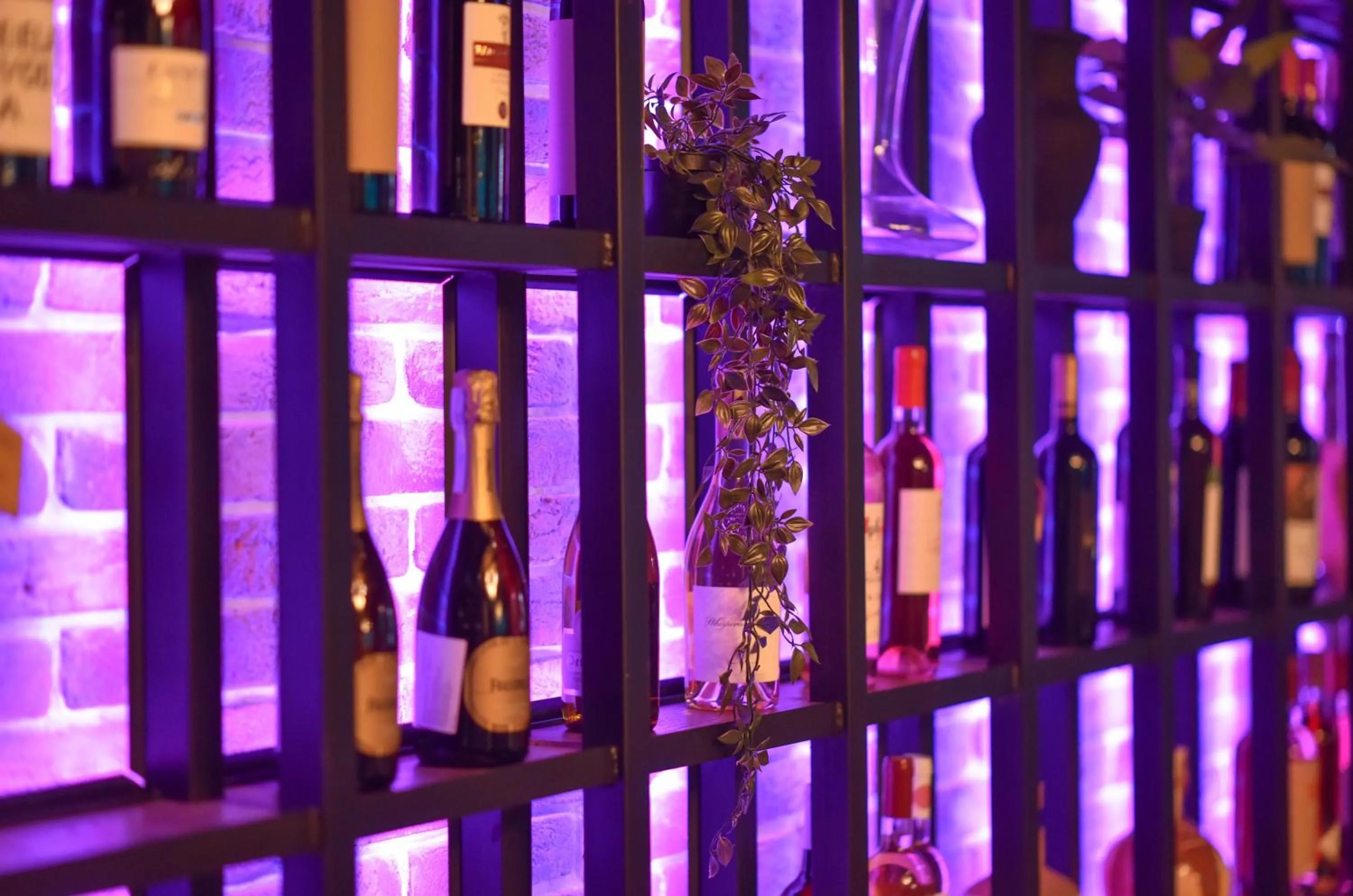 Restaurant/places to eat in SREBRNA PLANINA Spa & Resort