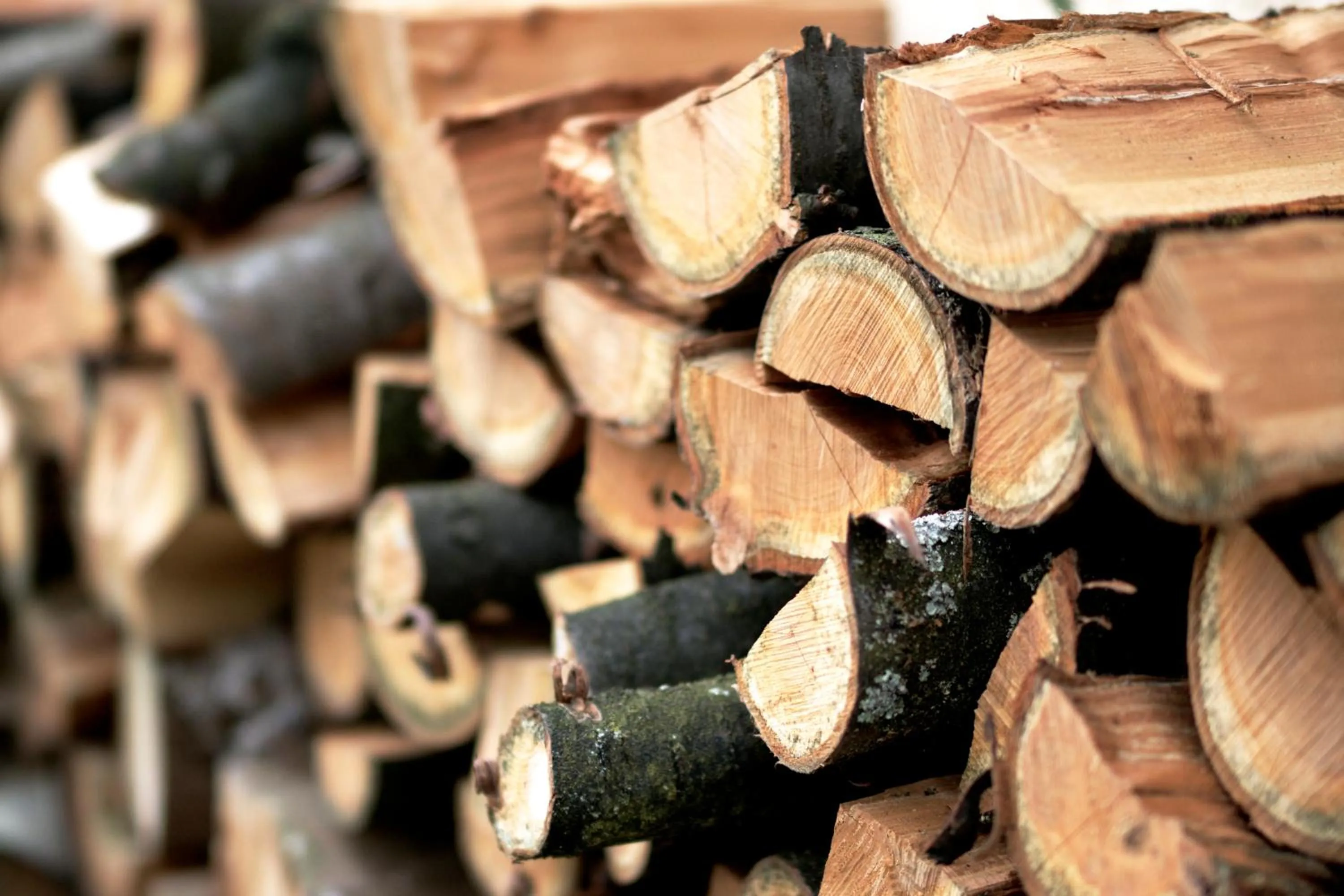 Autumn in Hotel Haus Kronenthal