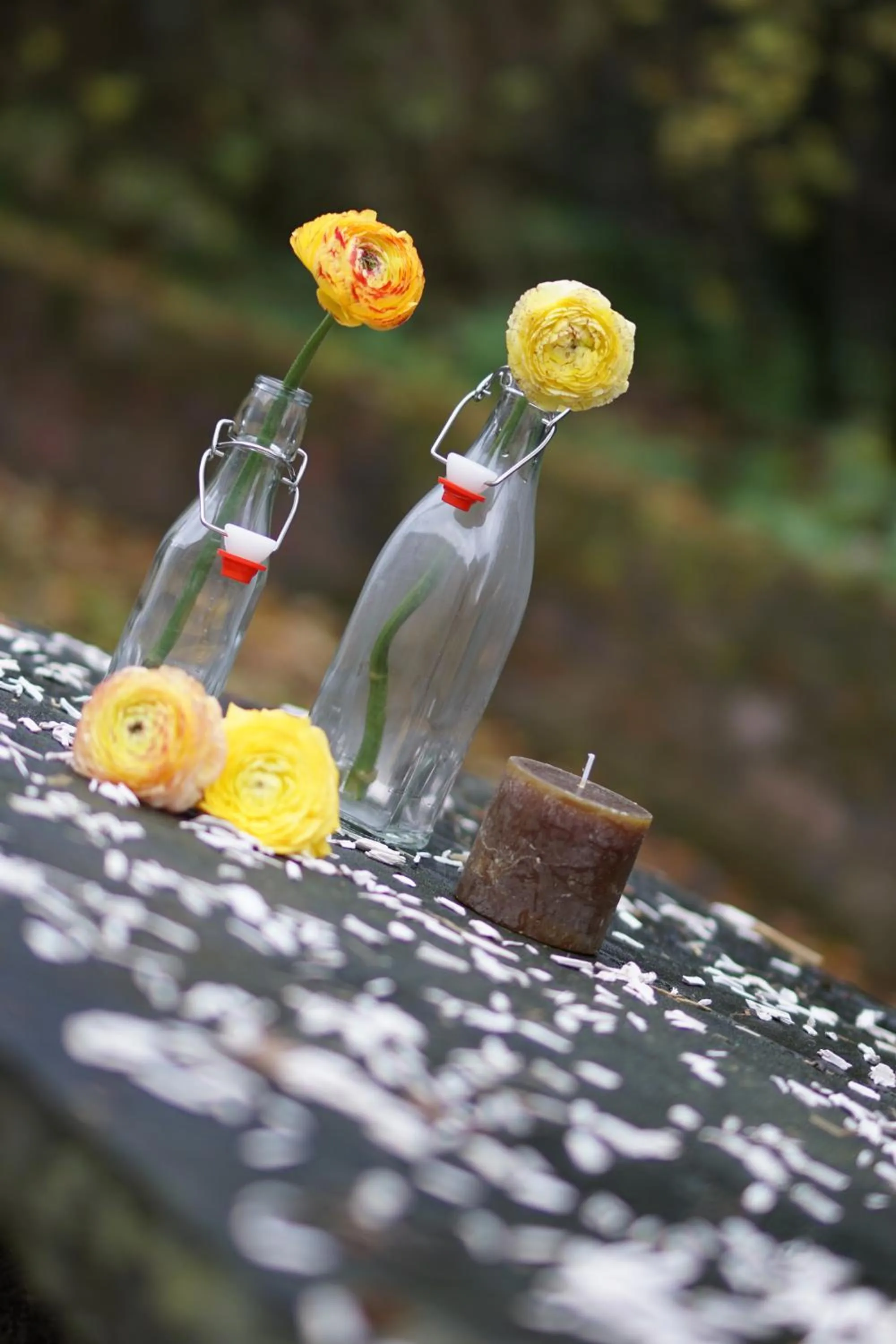 Summer in Hotel Haus Kronenthal