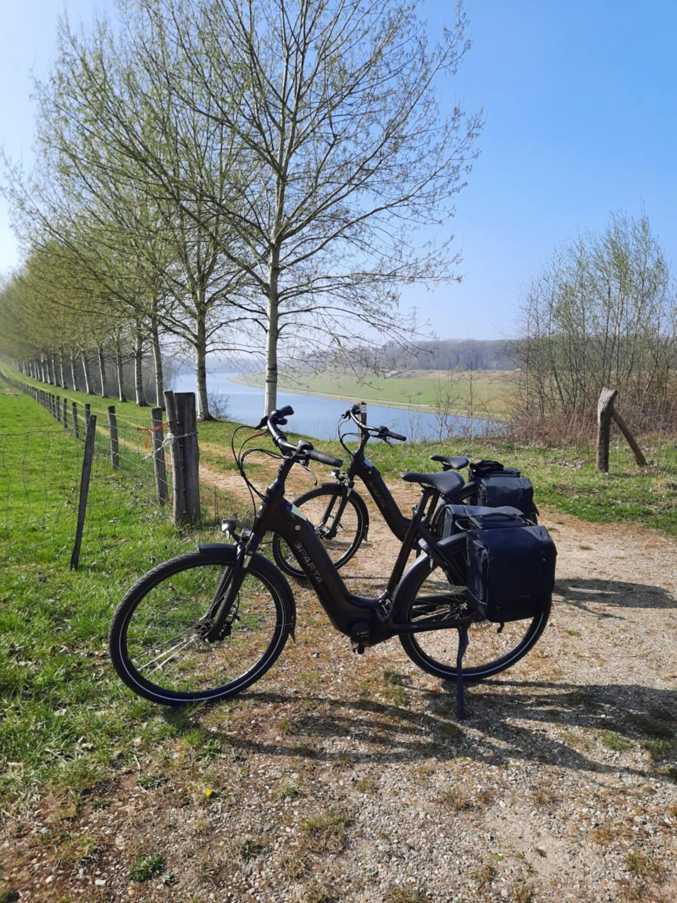 Spring in B&B Gellick