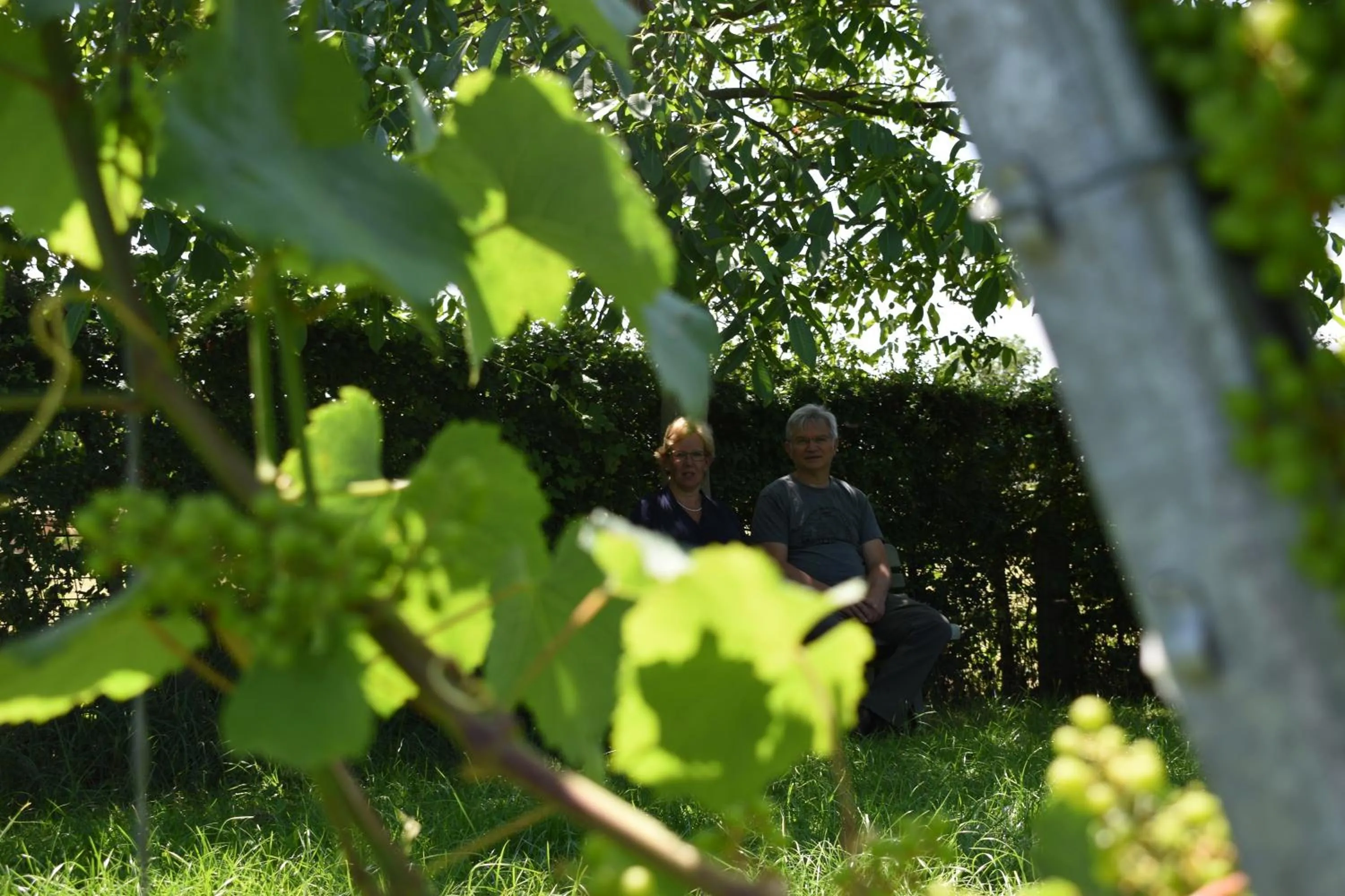 Spring in B&B Gellick