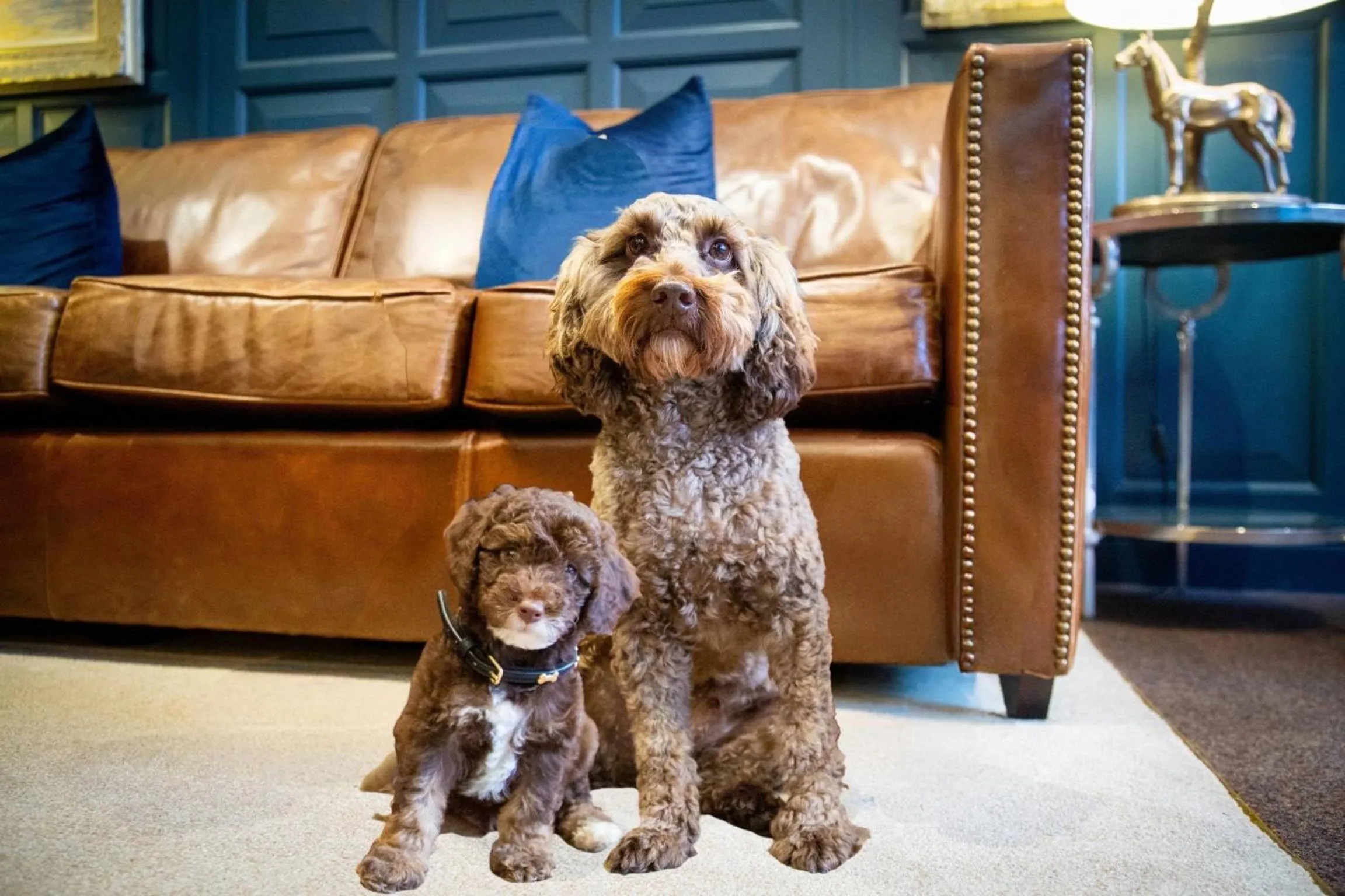 Seating area in The Hotel Chester
