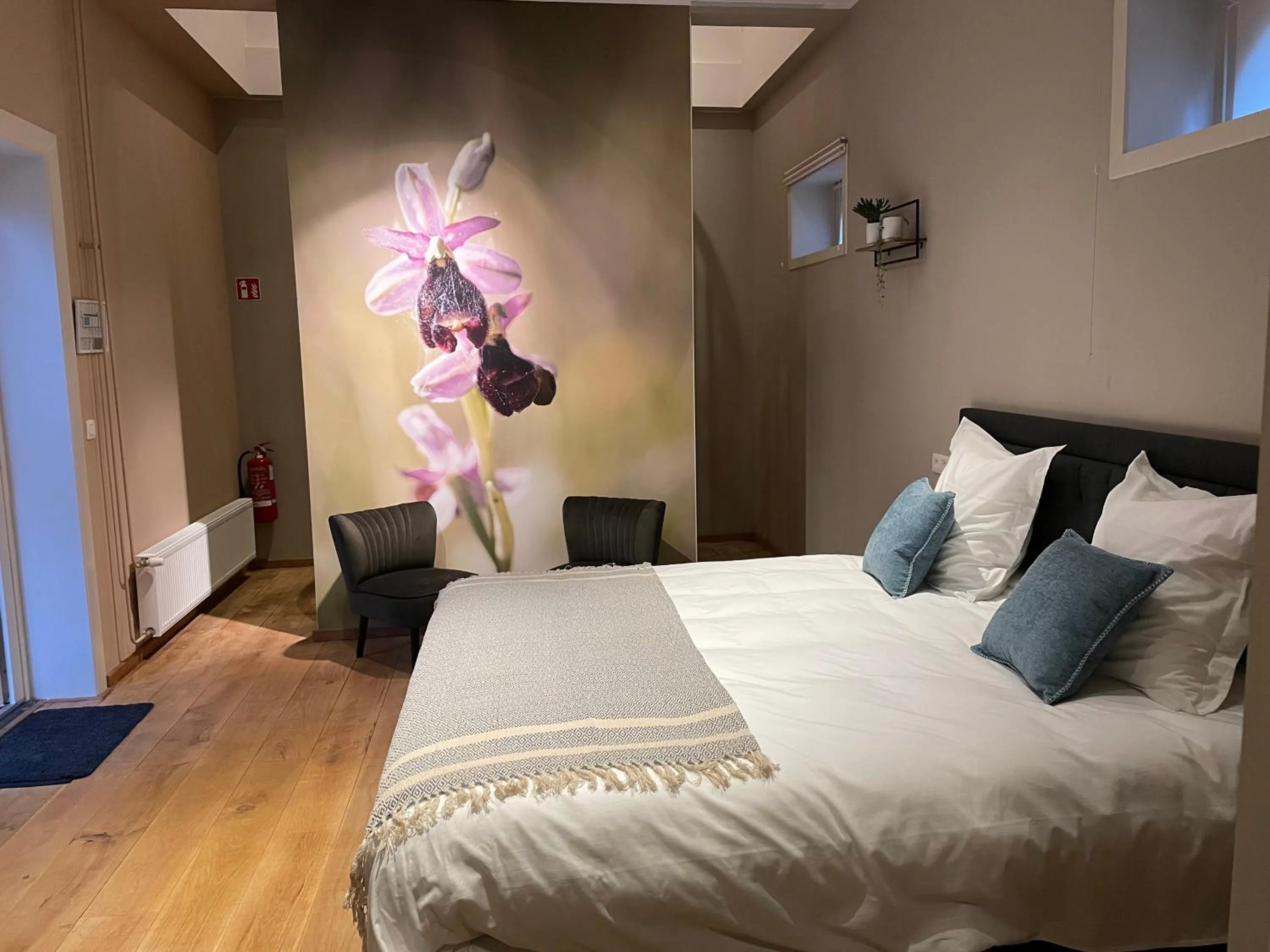 Bed in B&B Het Doctershoes