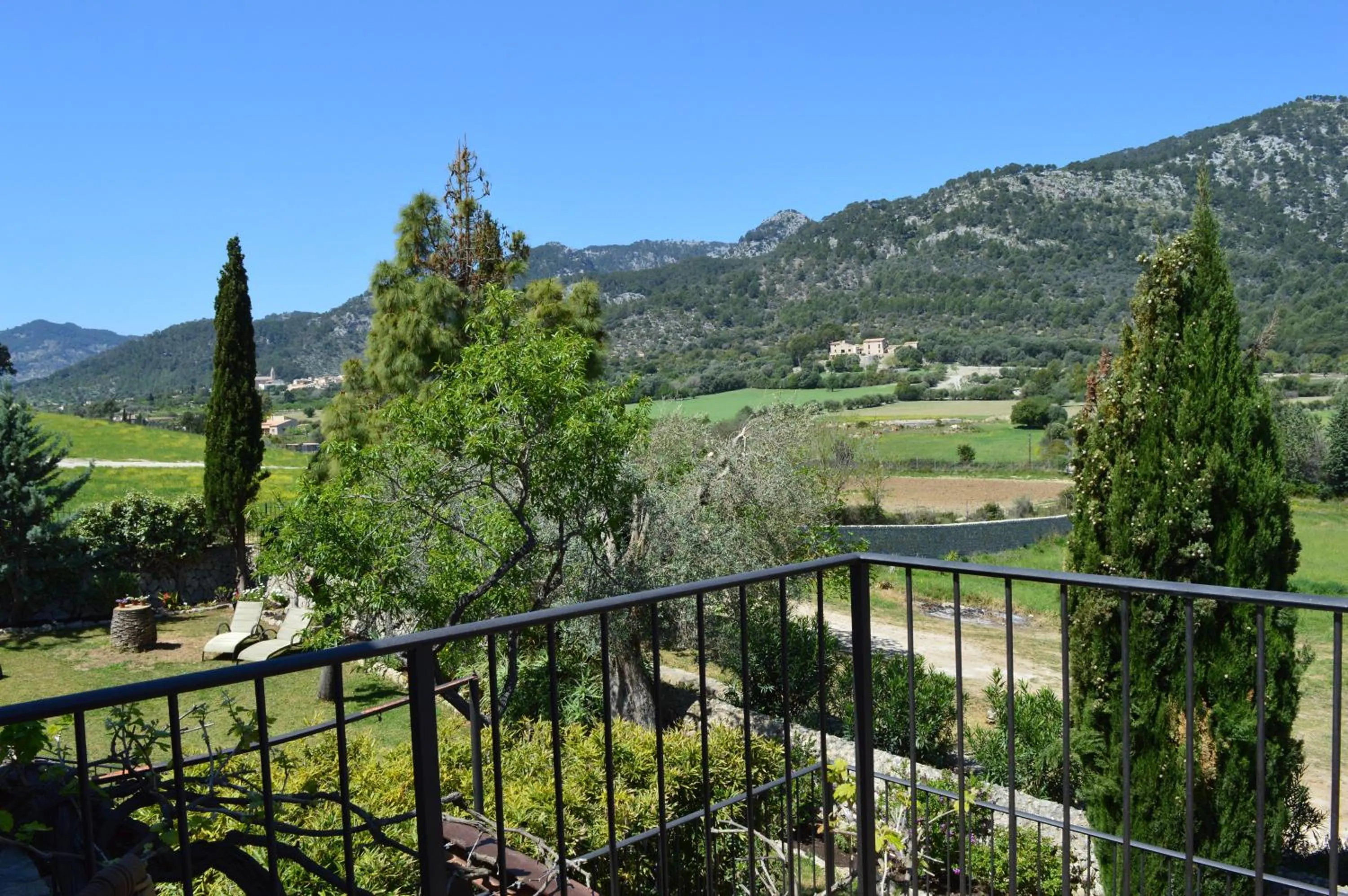 View (from property/room) in Finca Son Ametler