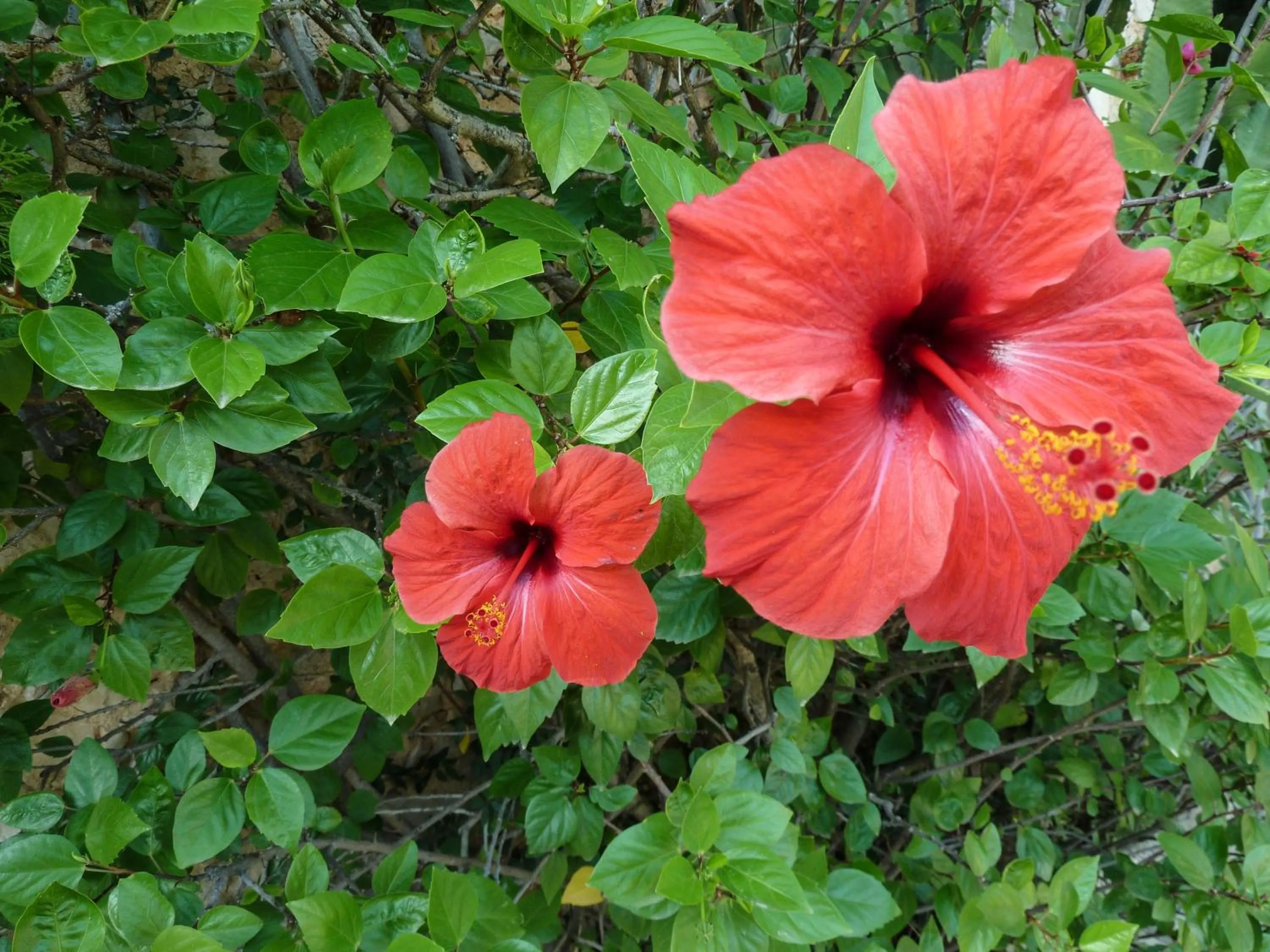 Other in Finca Son Ametler