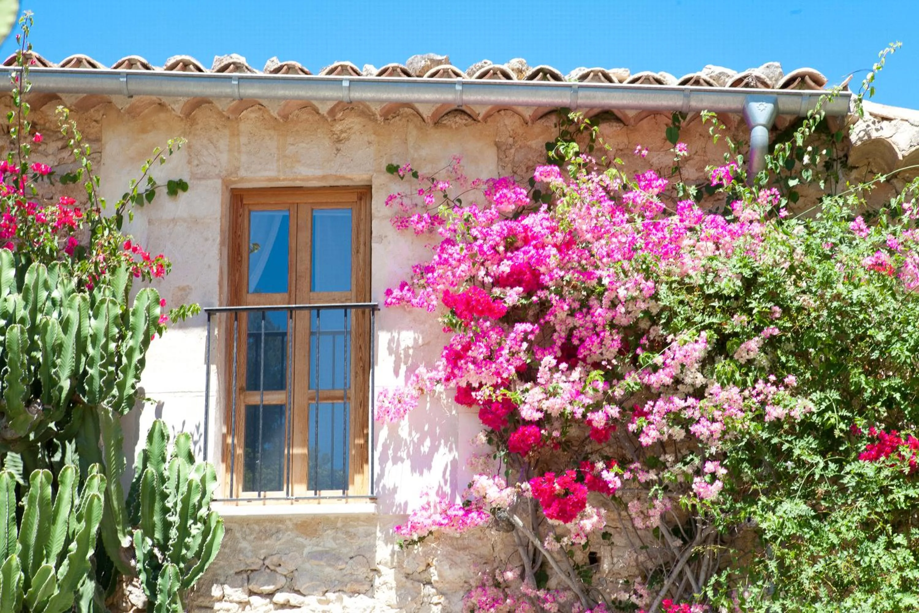 Spring in Finca Son Ametler