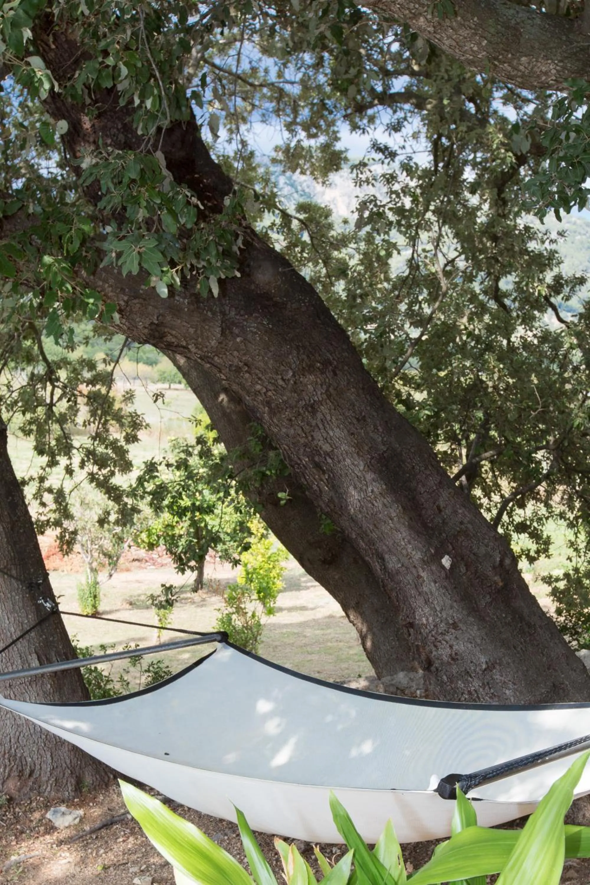 Natural landscape in Finca Son Ametler