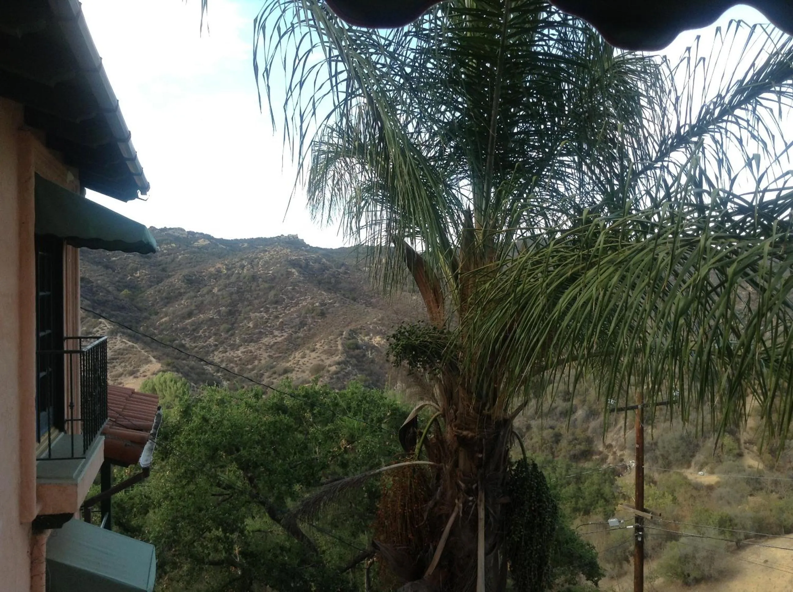 View (from property/room) in Topanga Canyon Inn Bed and Breakfast